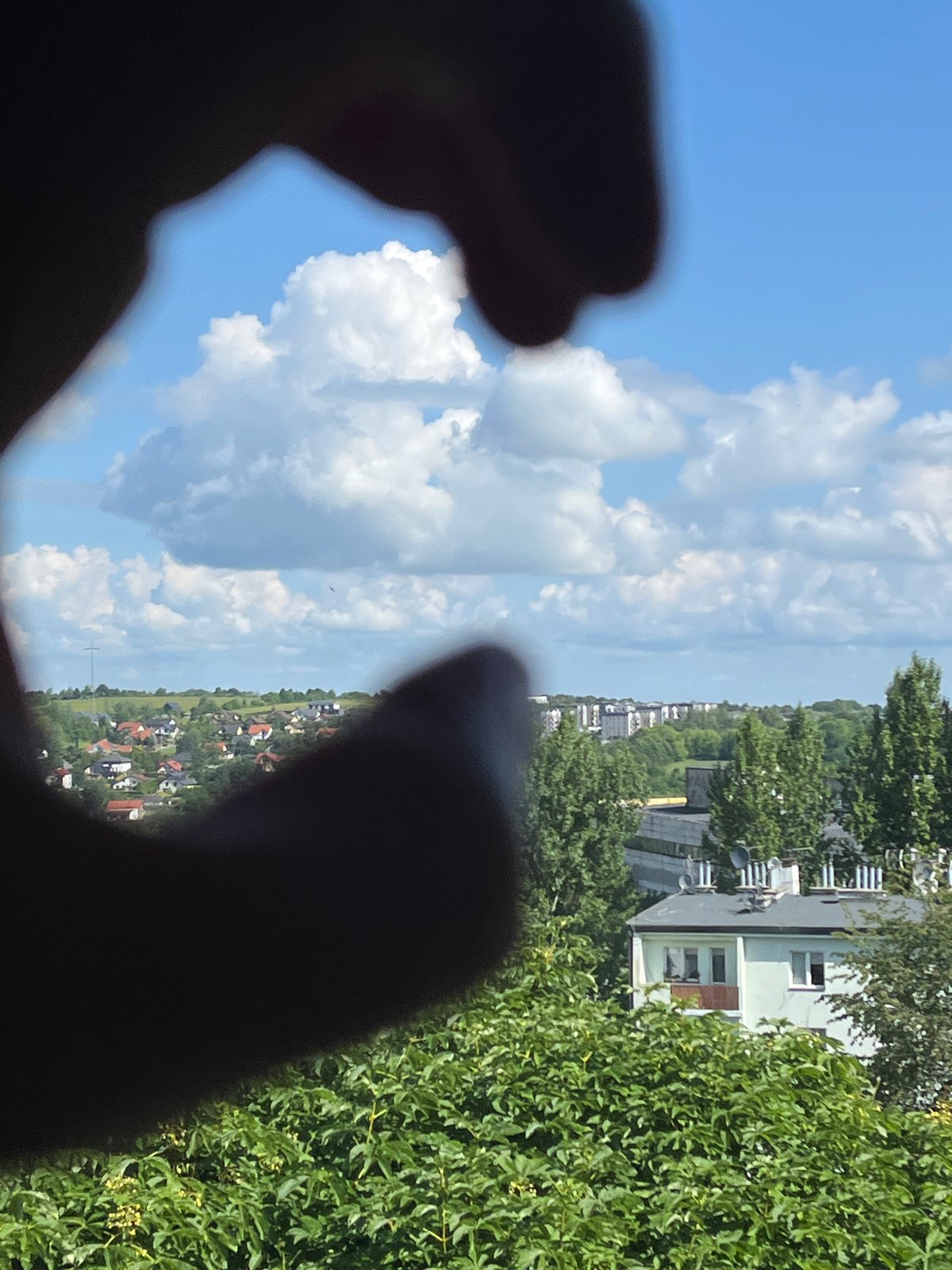 Woman documents morning routine with selfies and cityscape photography