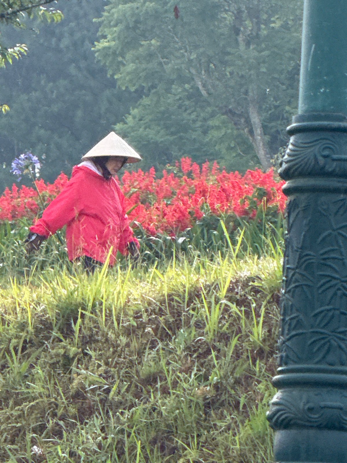An evening wandering Da Lat's lakes, gardens, and flower fields