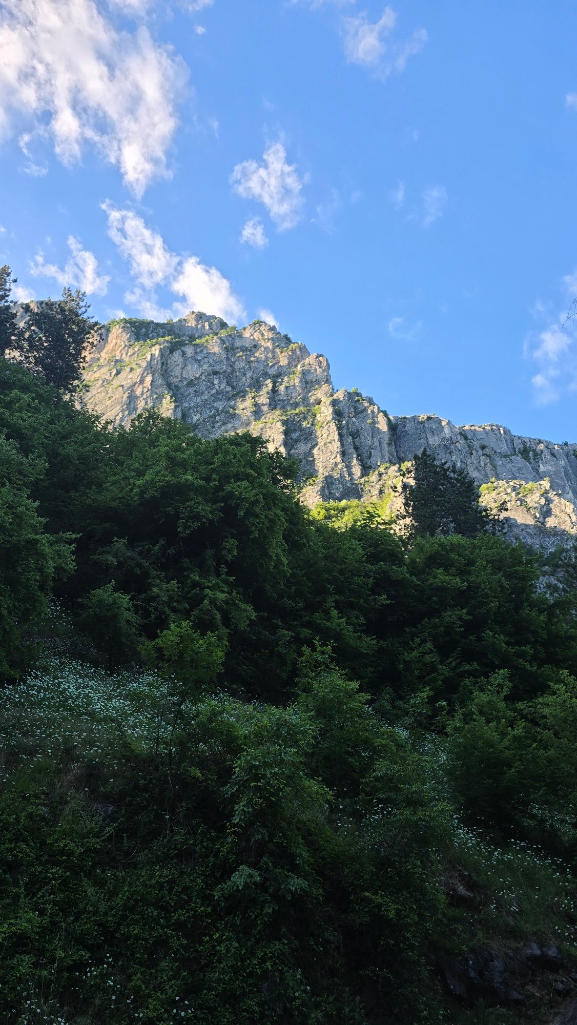Exploring Vratsa's mountain landscapes and tree-lined walkways