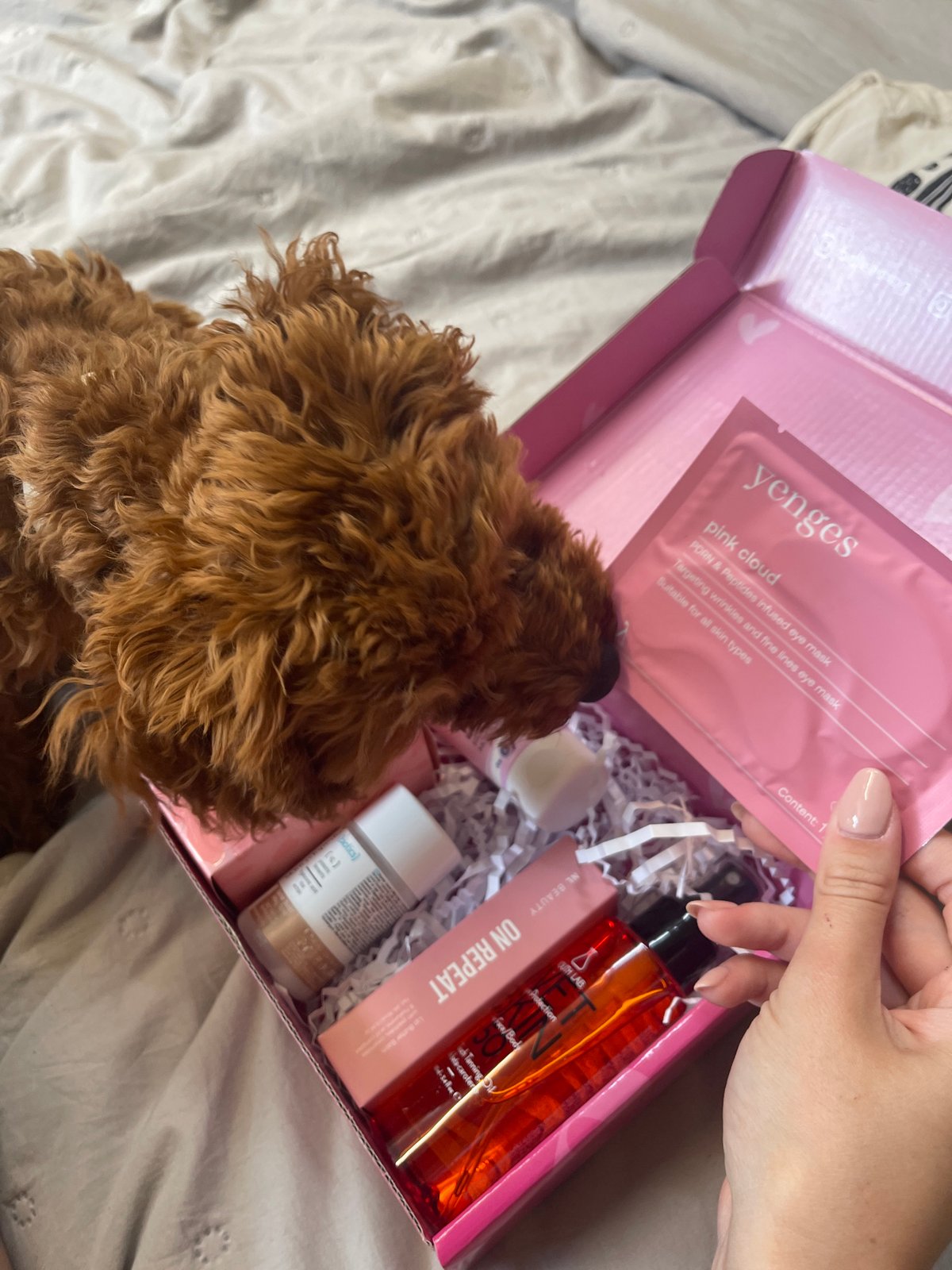 Woman unboxes beauty products with curious dog in Sofia bedroom