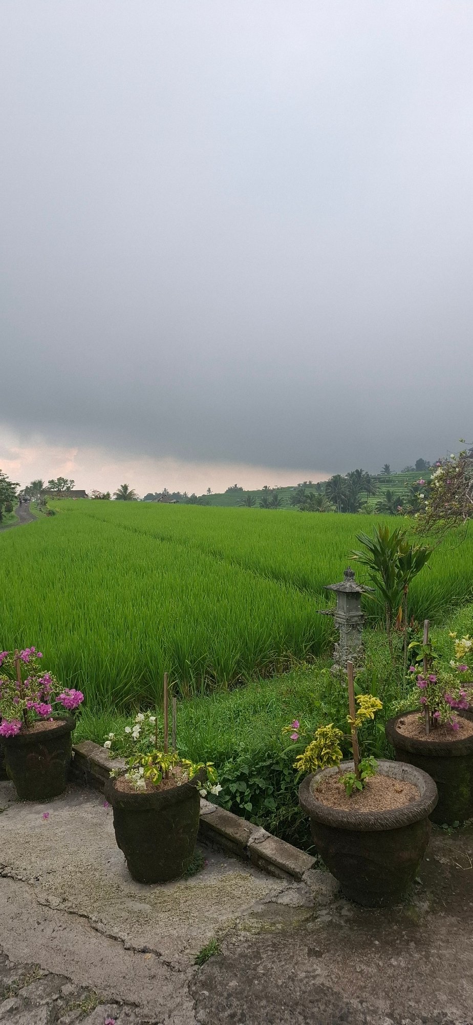 Rural Penebel documented: rice terraces, statues, daily life