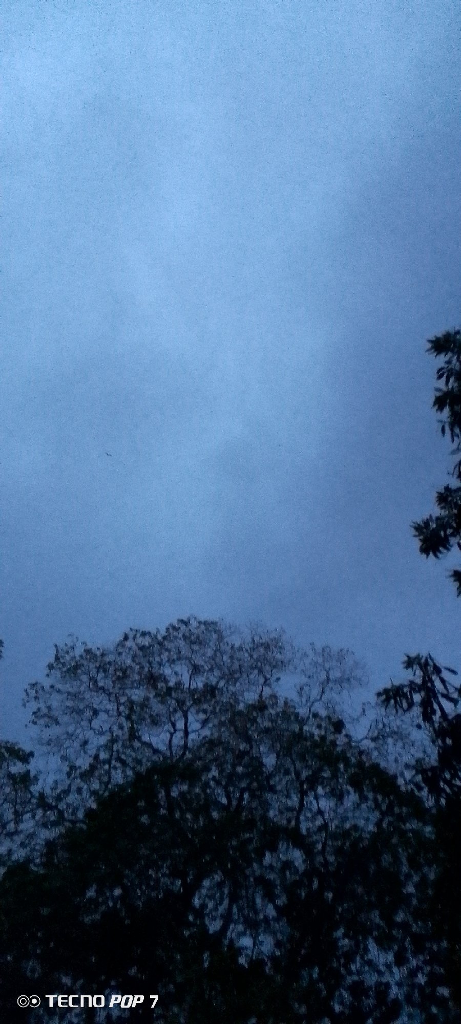 Nighttime rainstorm with strong winds in Altagracia, Venezuela