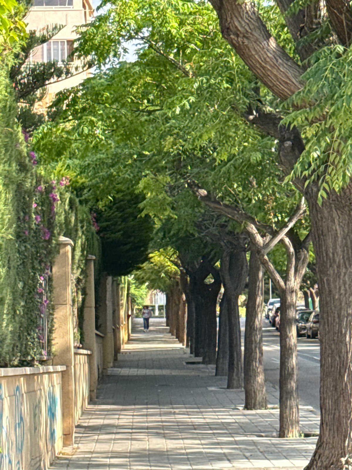 Morning urban walk captures street scenes, bakeries, parks