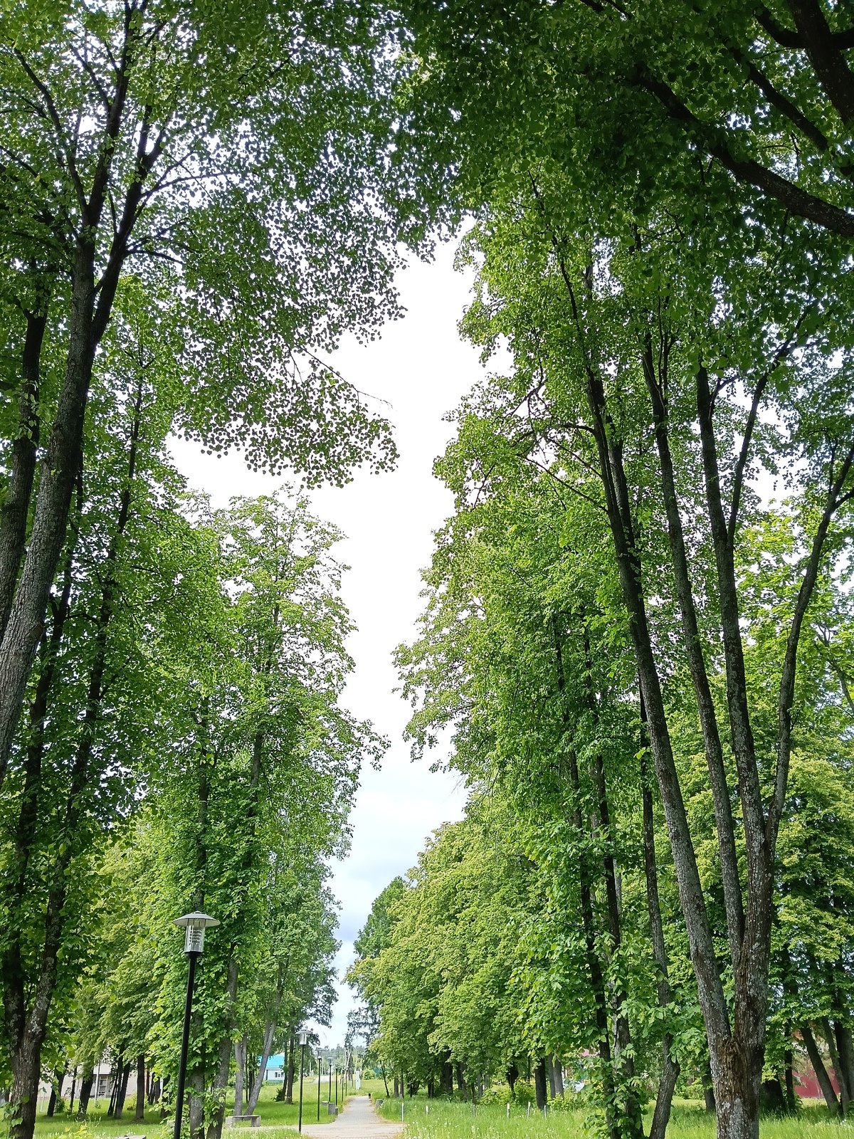 Morning park walk documented in Красный Маяк, Russia