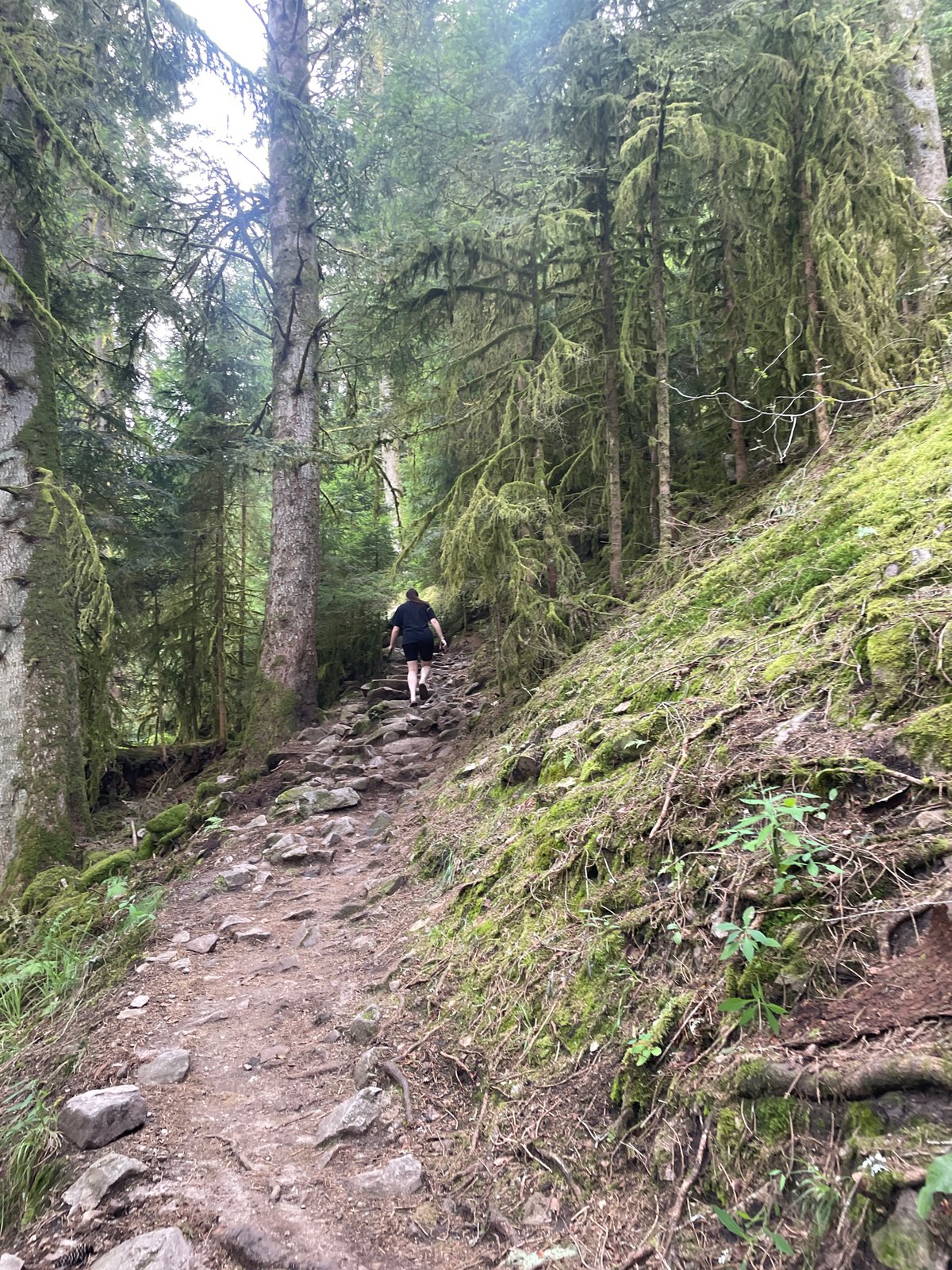 Hiking a mossy, boulder-strewn forest trail near Gérardmer
