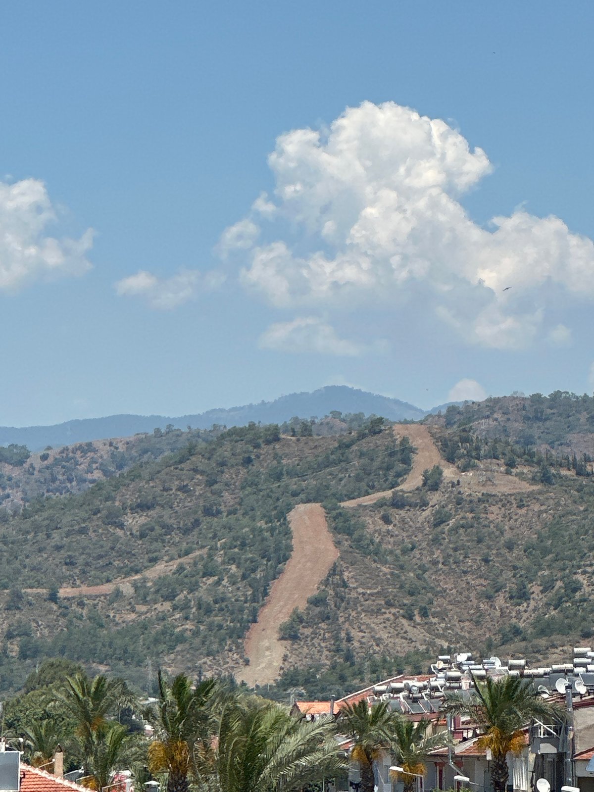 Morning documentation captures diverse scenes across Fethiye, Turkey