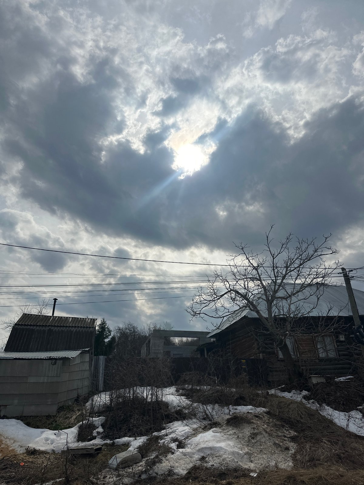 Morning light and bare trees observed in Chaikovsky, Russia