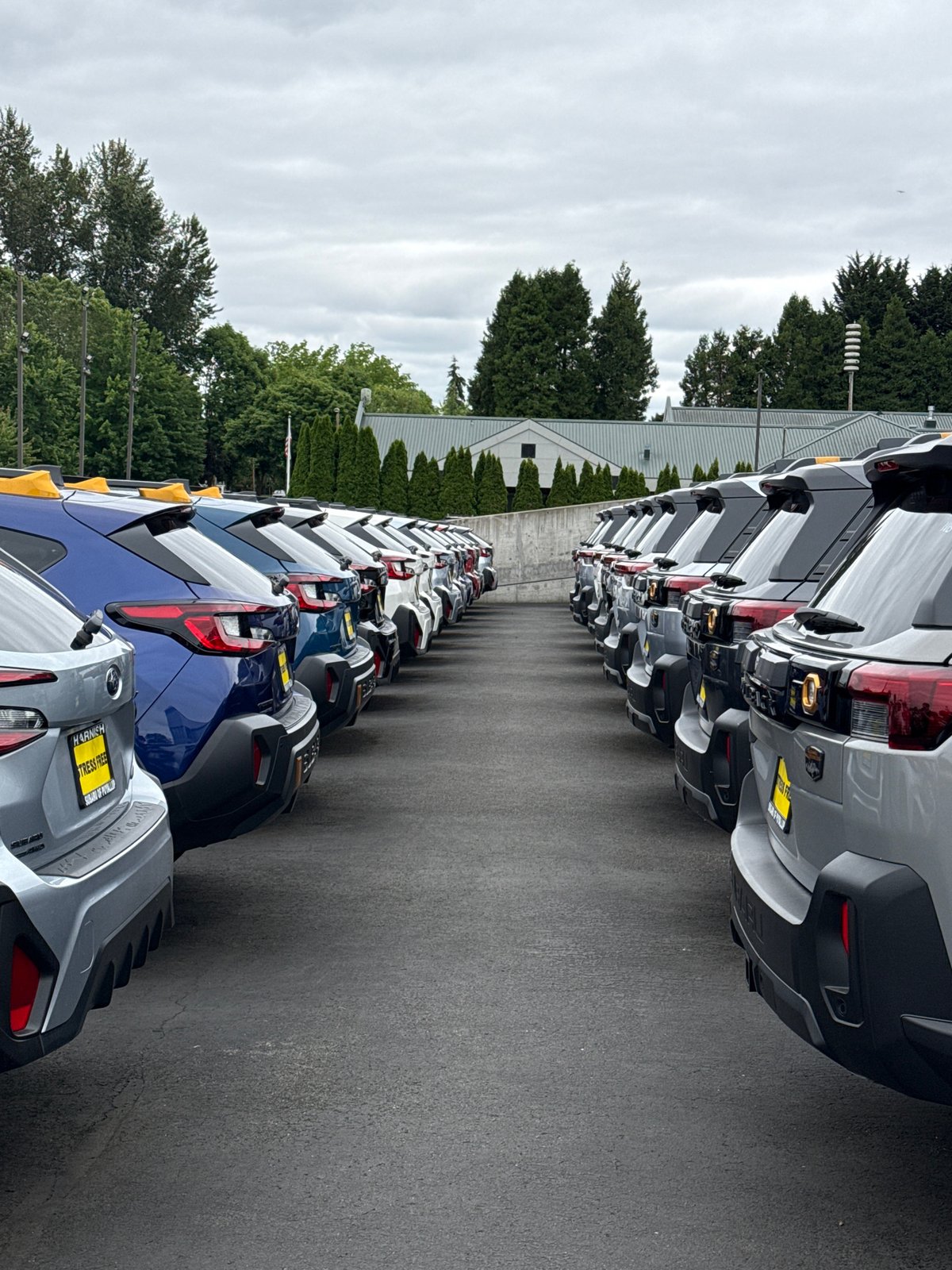 New Subaru Crosstreks lined up at Puyallup lot