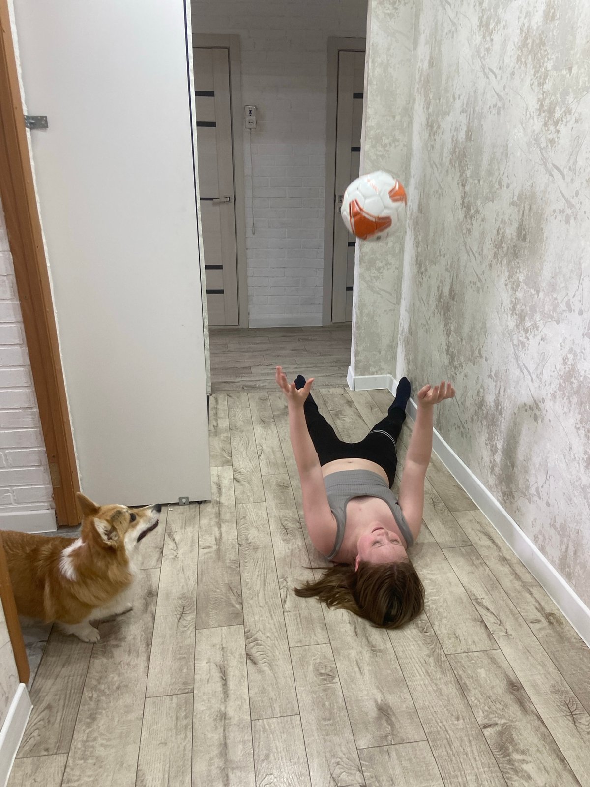 Woman's morning routine with corgi documented in Chaikovsky