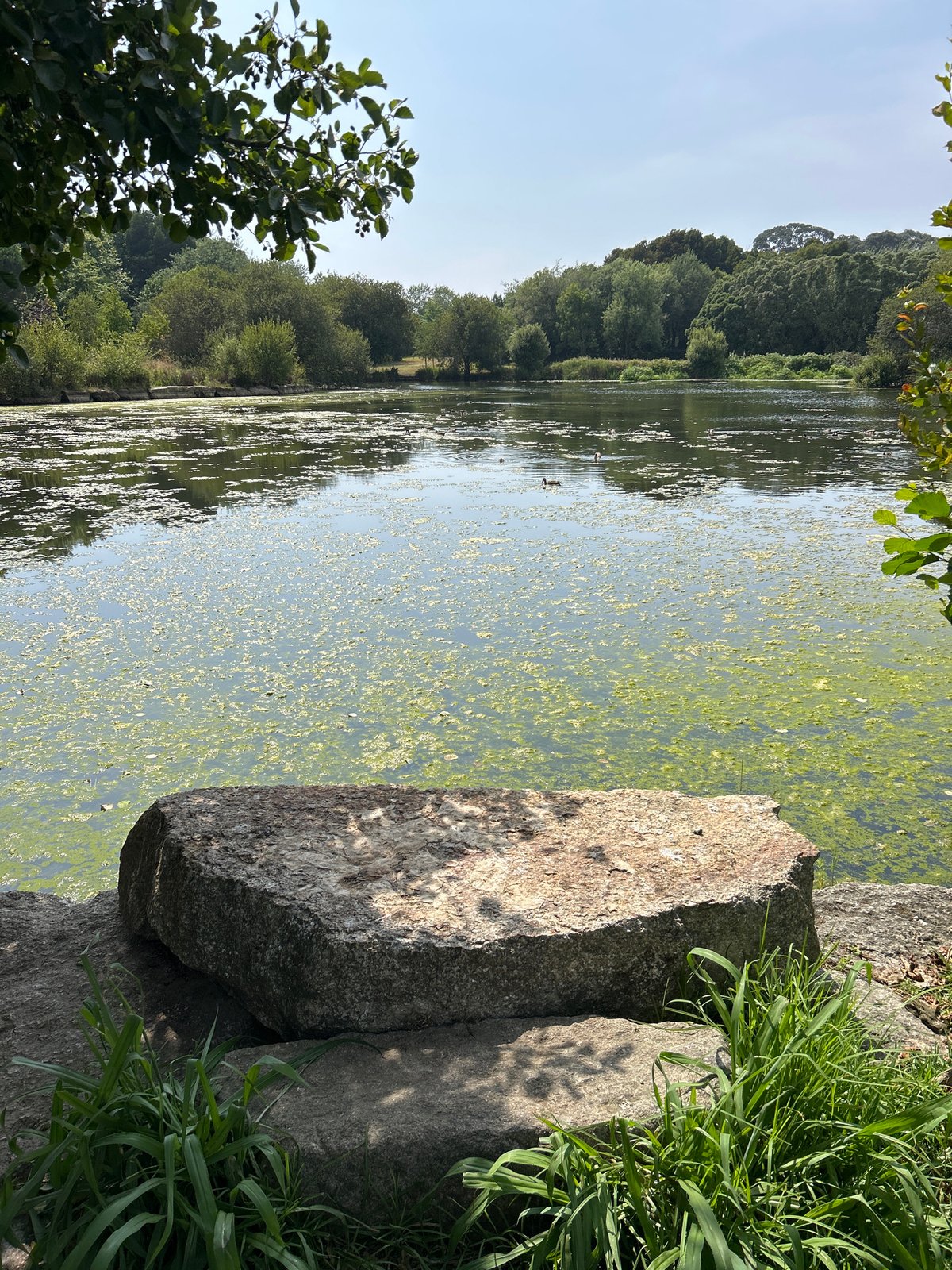 Quiet afternoon in Porto's Palácio de Cristal gardens