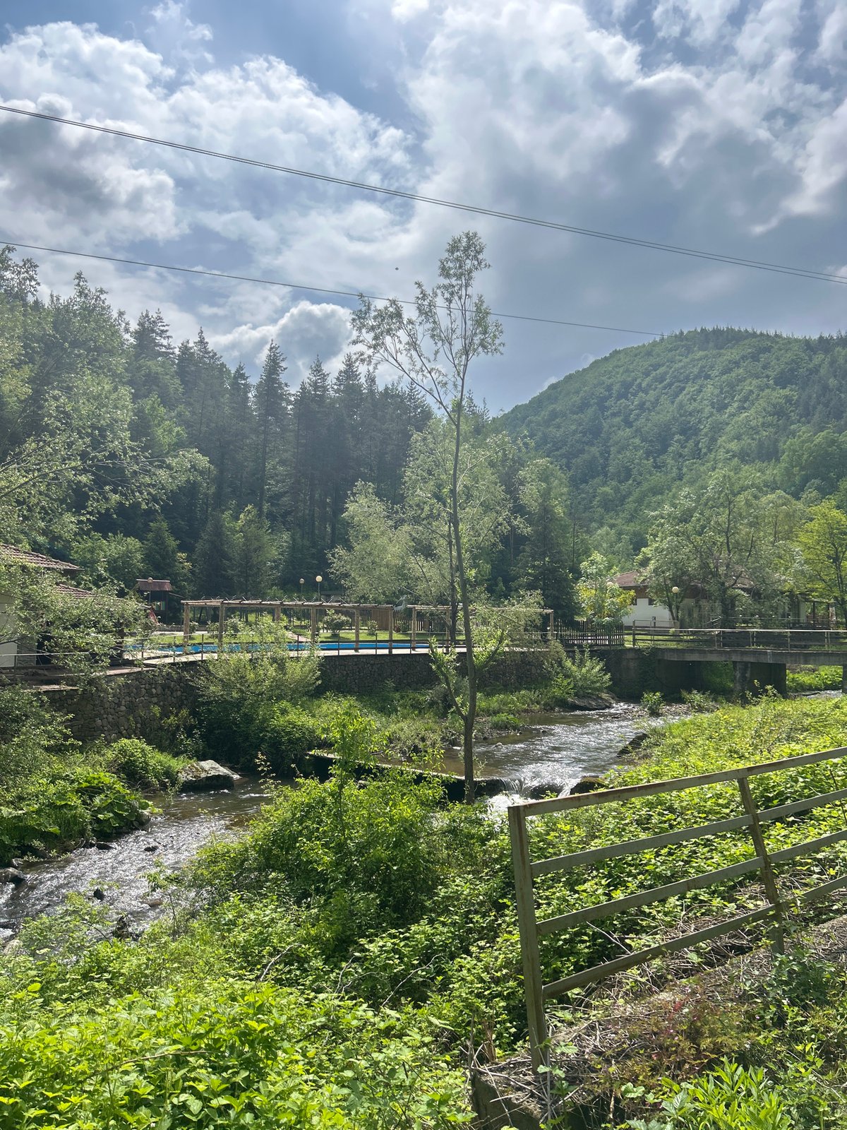 River landscape with dense vegetation and mountain documented