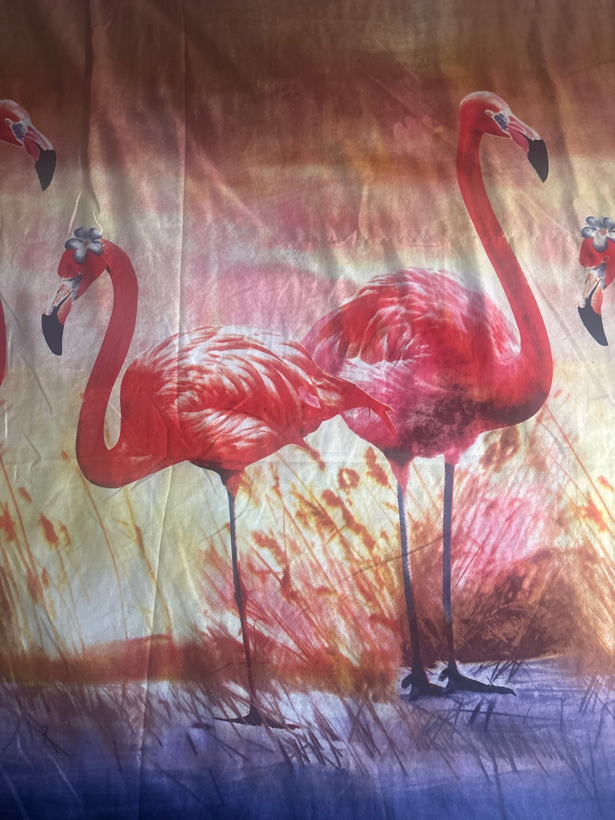Flamingo fabric and sunny street scenes captured simultaneously