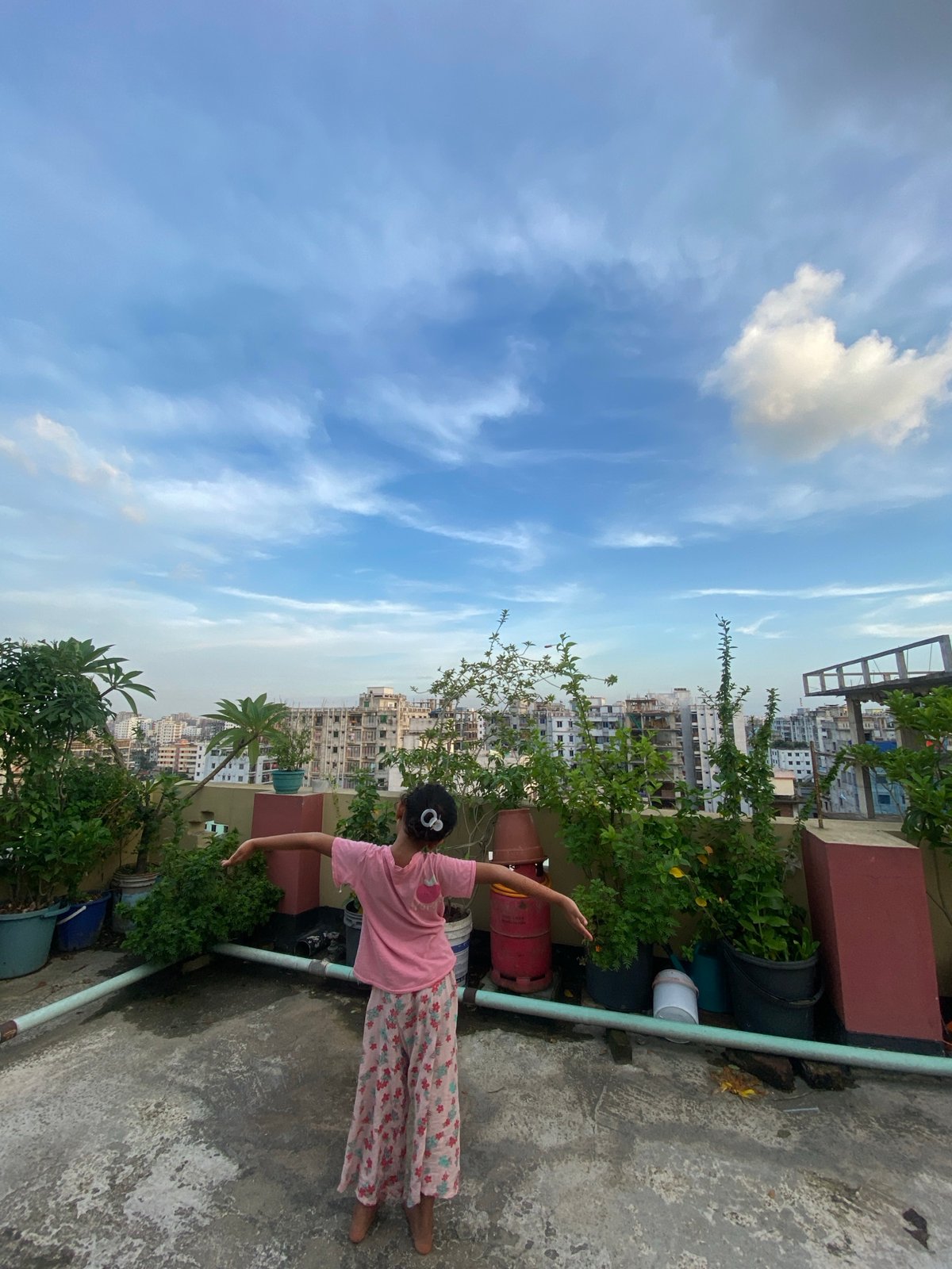 Rooftop afternoon in Dhaka with flowers, plants, and city views