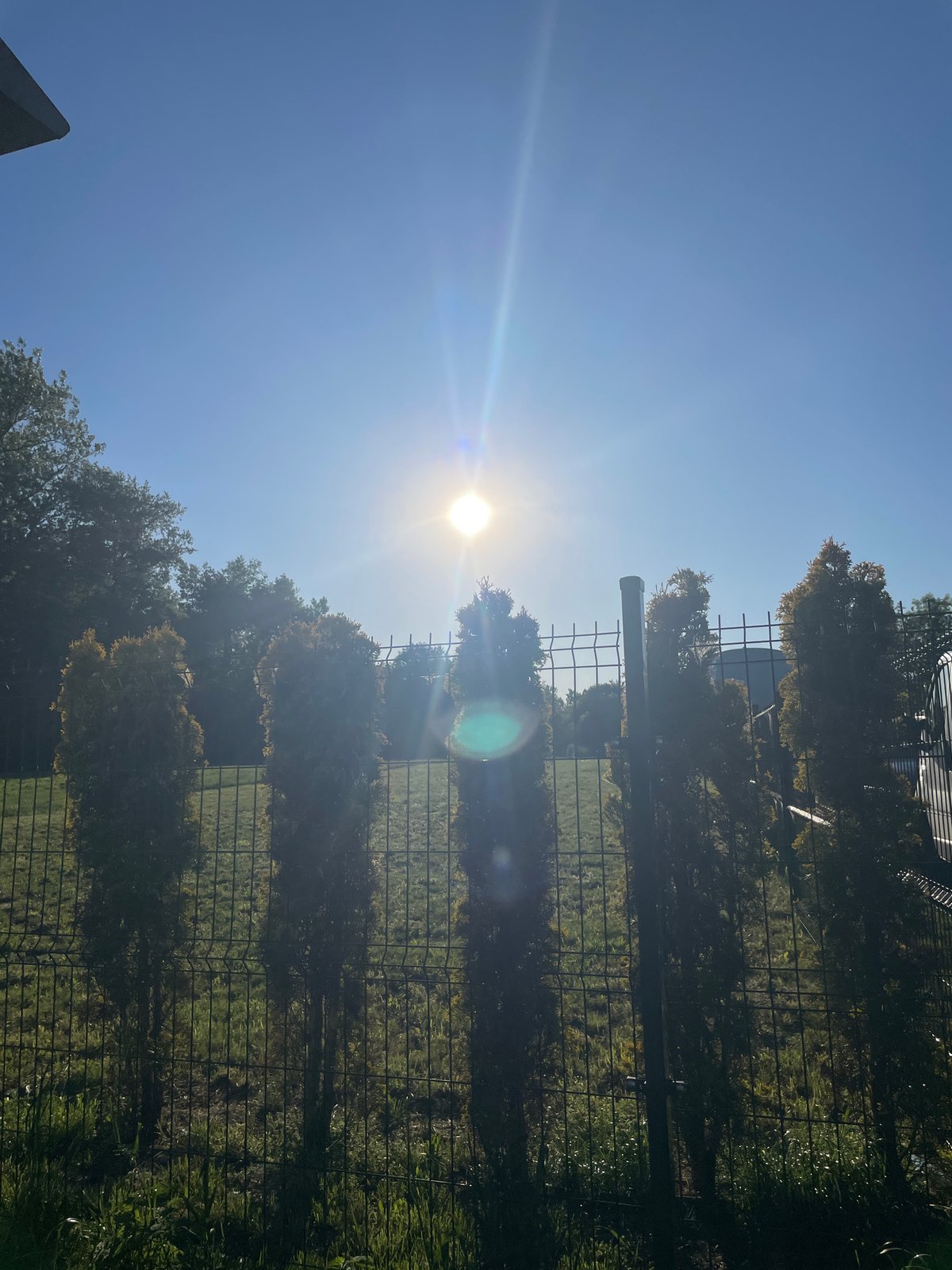Witness documents sunny afternoon park scene through multiple perspectives