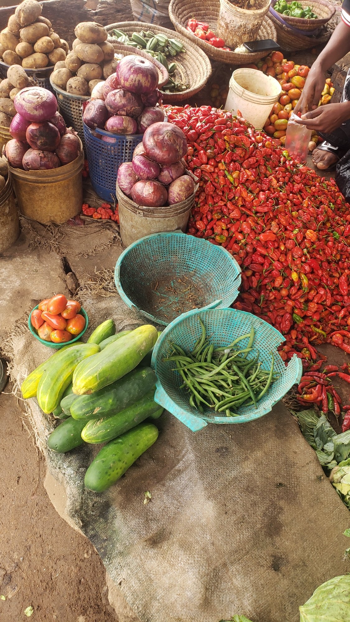 Morning market activity in Sabon Tasha, Nigeria