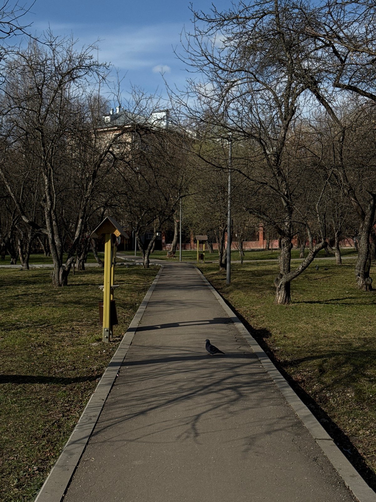 Moscow park scene captured with pigeon, playground structure