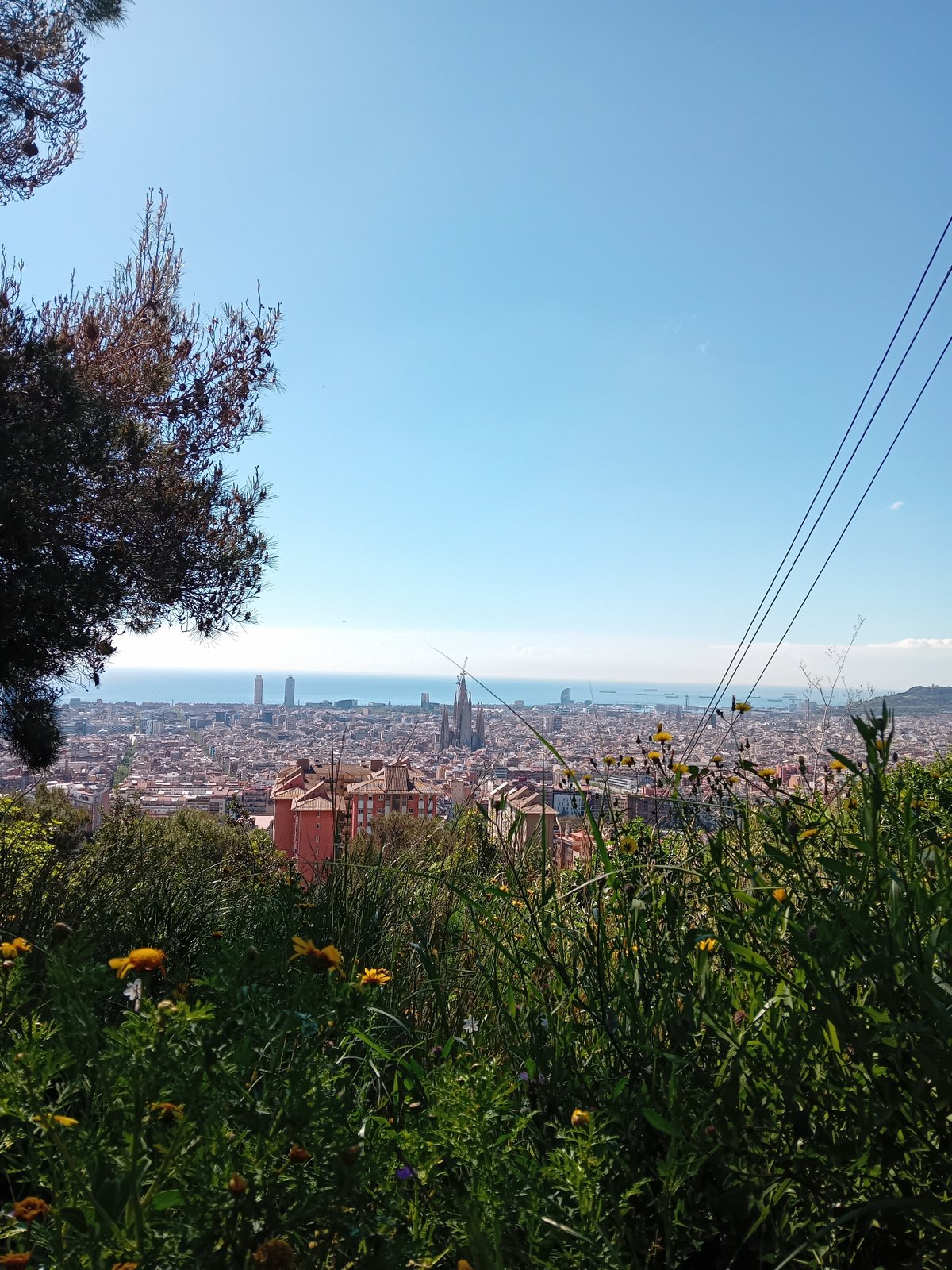Aerial view captured of Barcelona coastline under clear skies