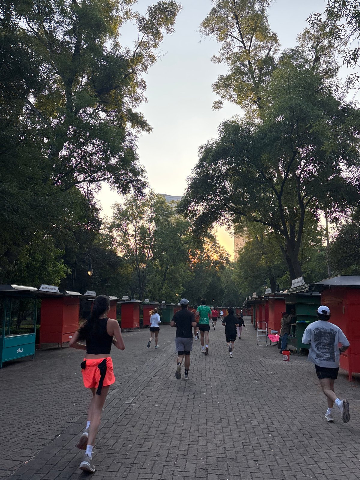 Joggers exercise along tree-lined Mexico City pathways near lake