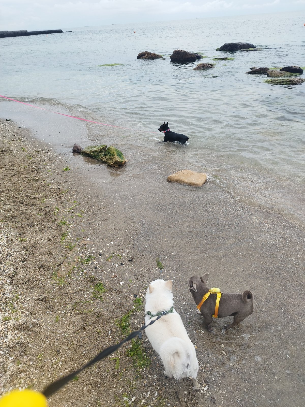 Laid-back summer morning on Odesa's Black Sea shore