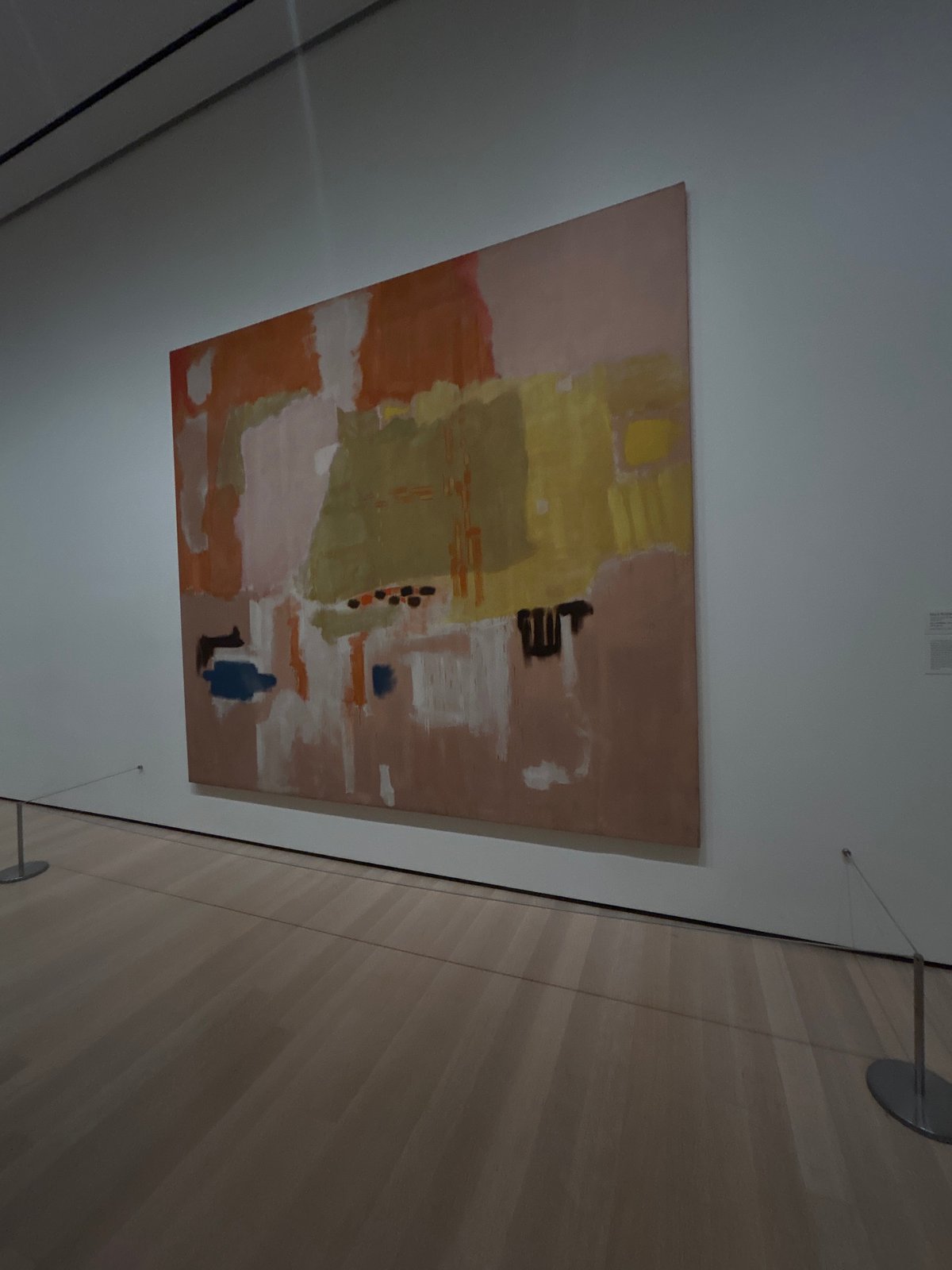 Gallery visitor documents abstract art exhibits in New York