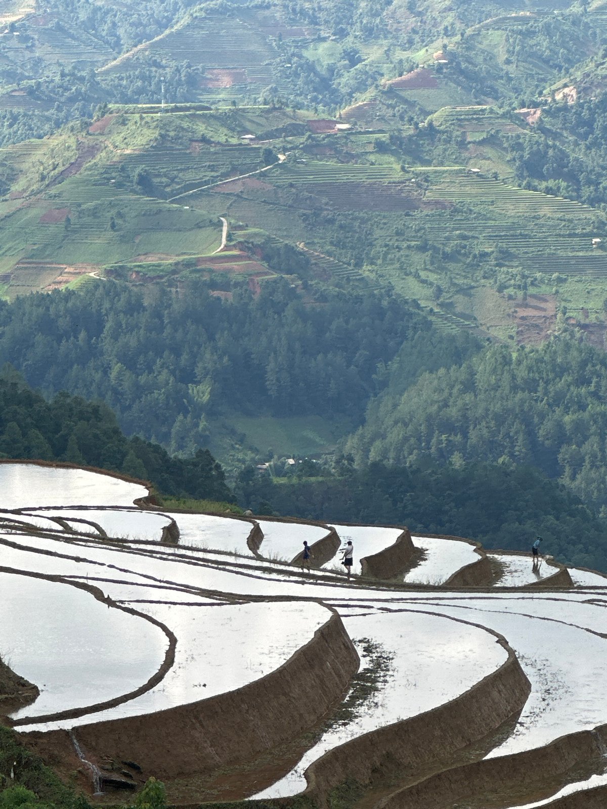 Motorcyclist documents terraced rice fields in Lao Chai, Vietnam