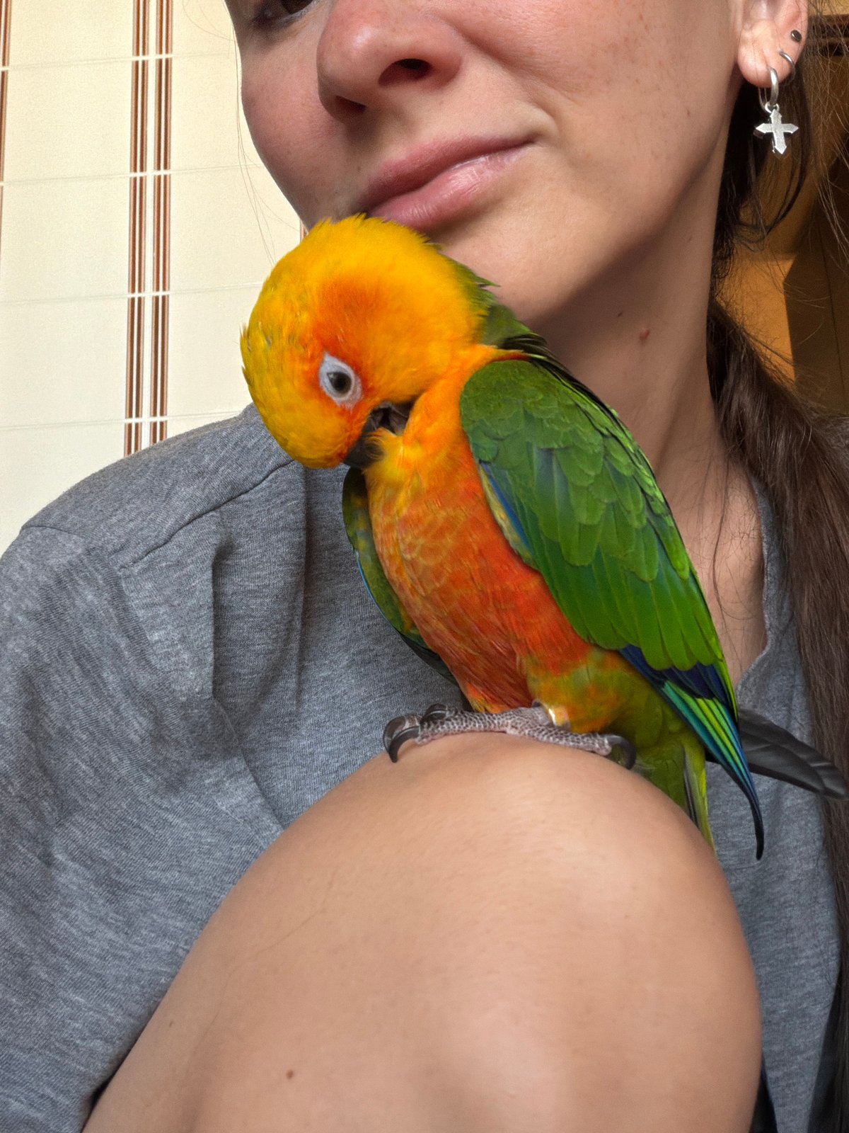 Woman with parrot spotted in Khimki kitchen early morning