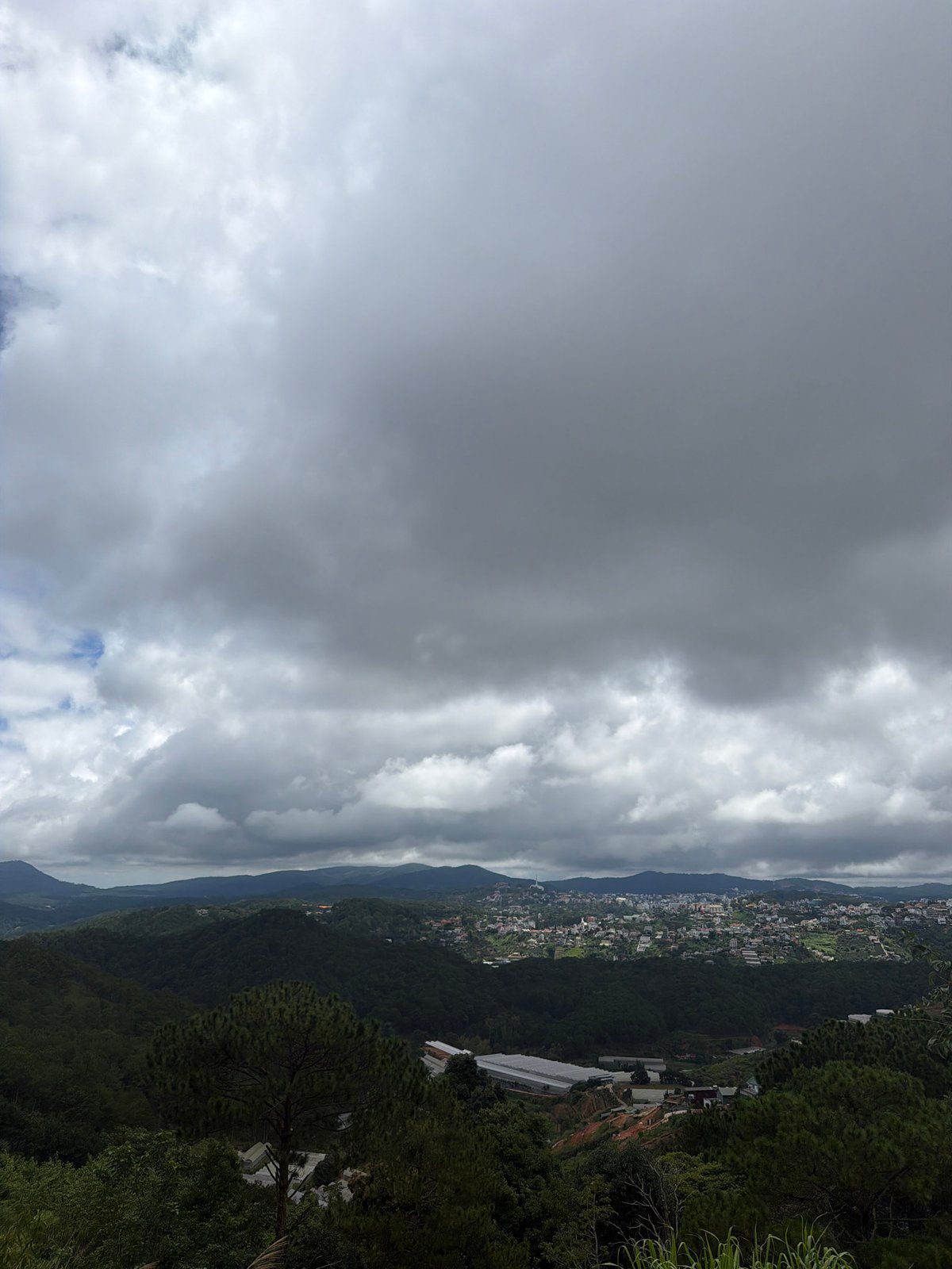 Hillside views and selfies above Đà Lạt's greenhouse valley
