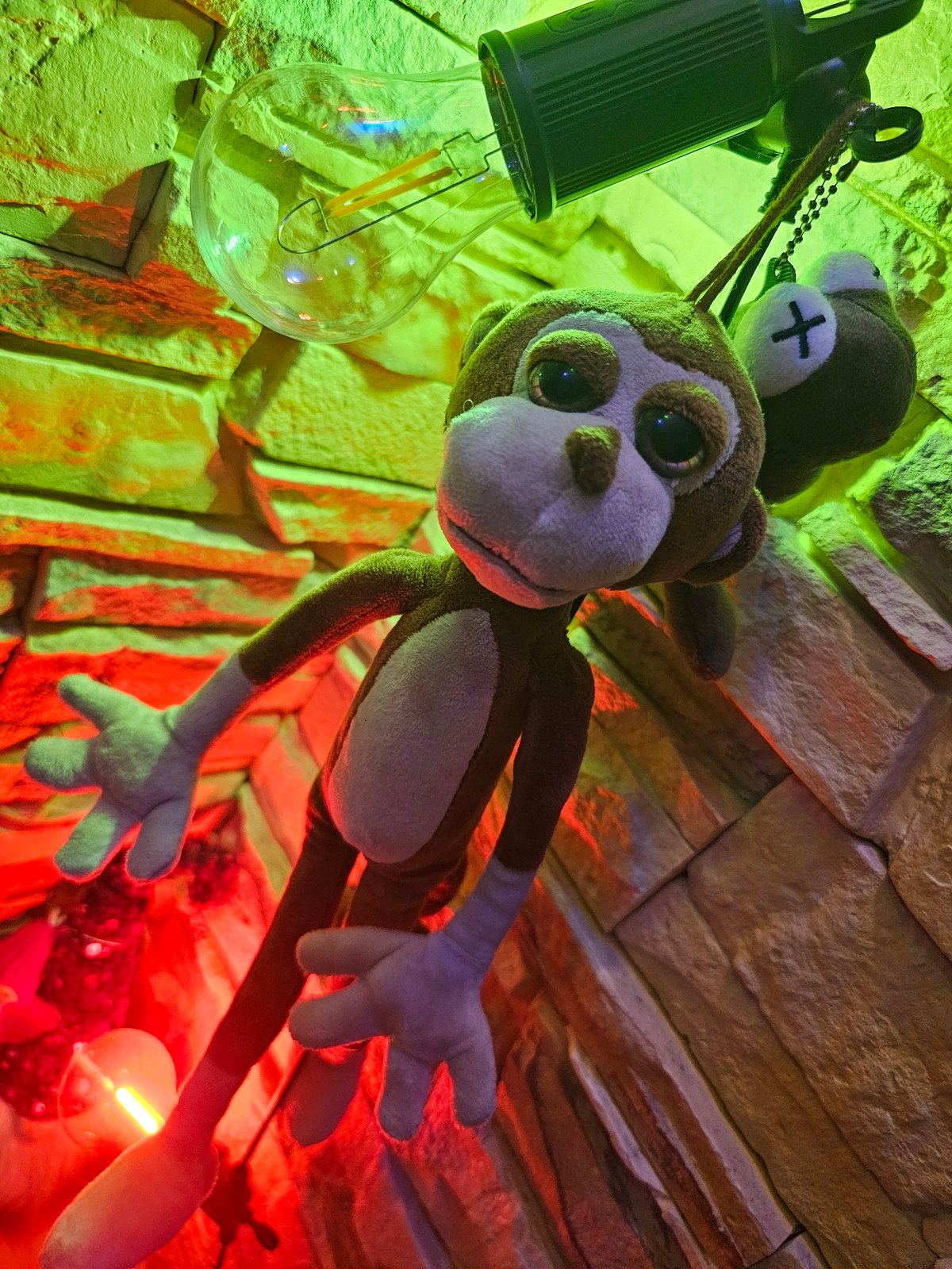 Eccentric Ukrainian interior full of oddities, axolotls, and colored lights