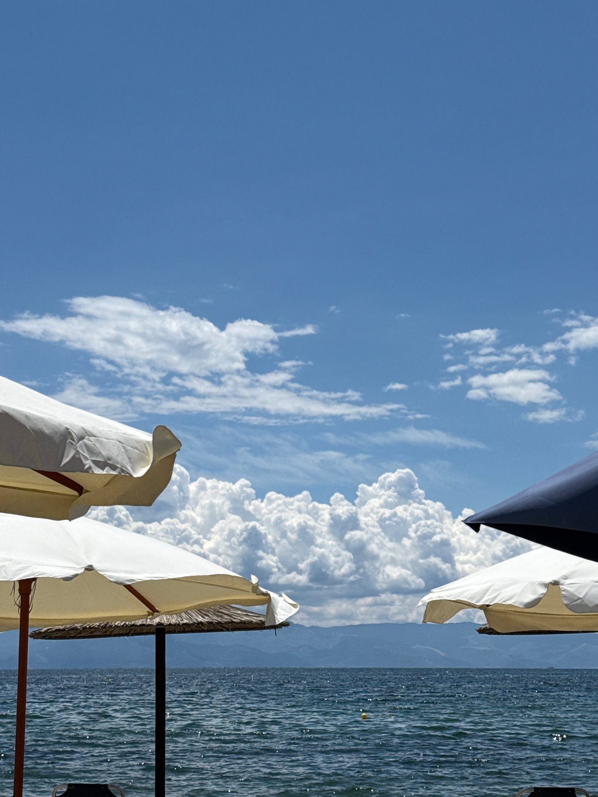 Beach umbrellas, big skies, and a dog napping on towels