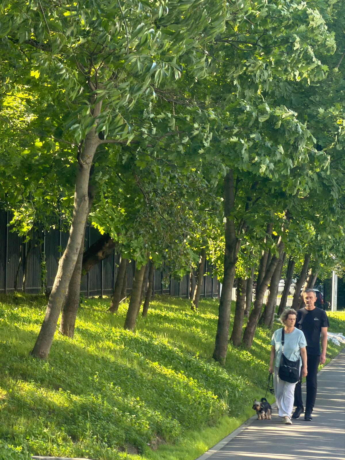 Lazy summer afternoon in Khimki, K-pop merch and waterside strolls
