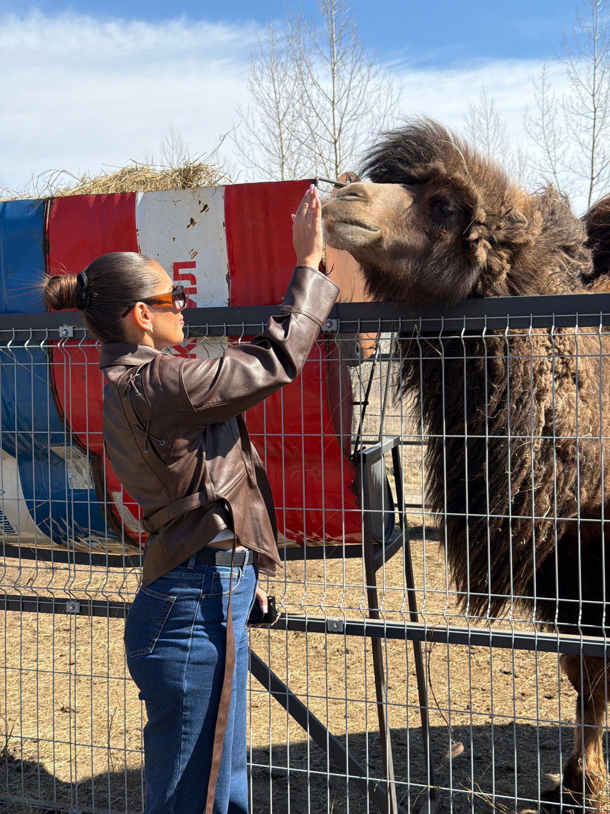 Woman visits camel at Russian animal enclosure
