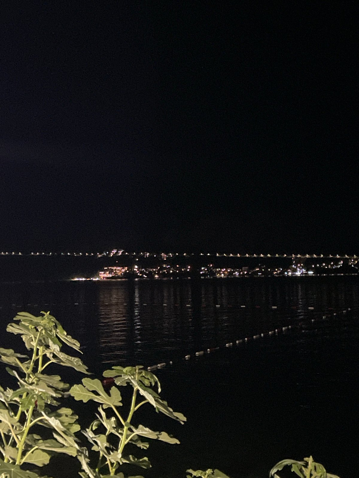 Herceg Novi waterfront at night, rocks and bay reflections