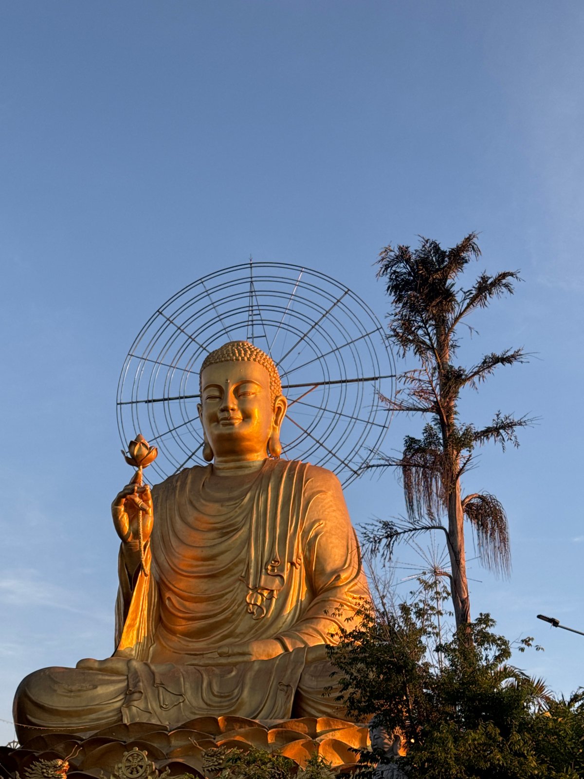 Temple visit documented in Đà Lạt, Vietnam features Buddha statues