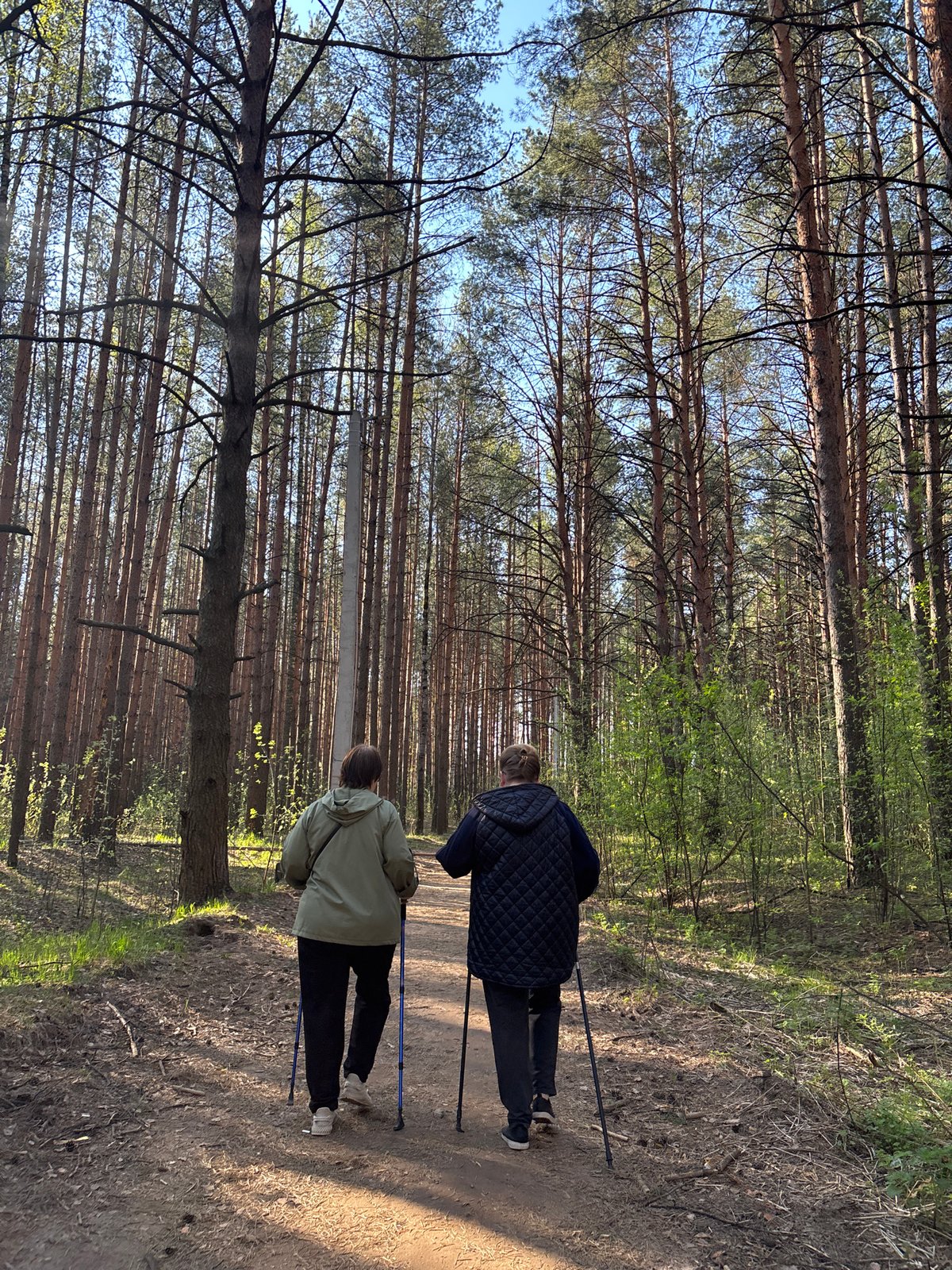 Early morning outdoor activities documented in Chaikovsky forest areas