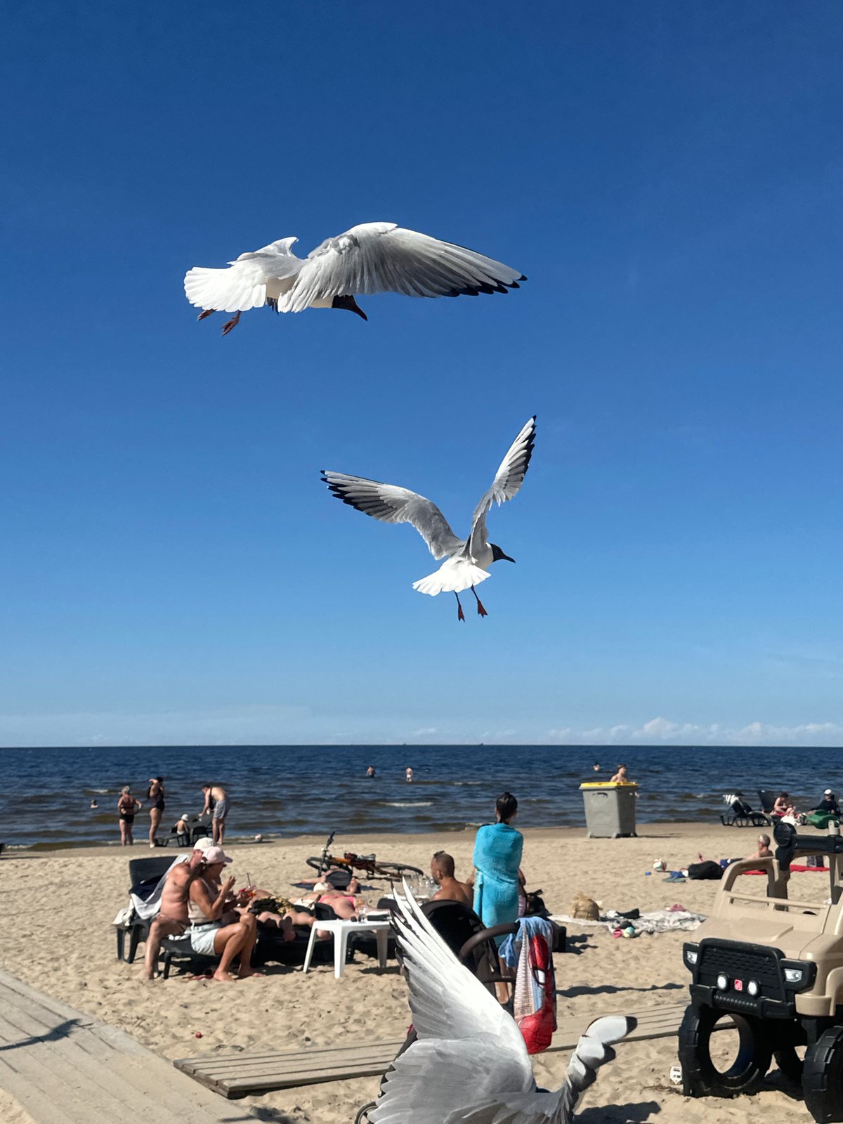Seagulls and beachgoers on a sunny Jūrmala afternoon