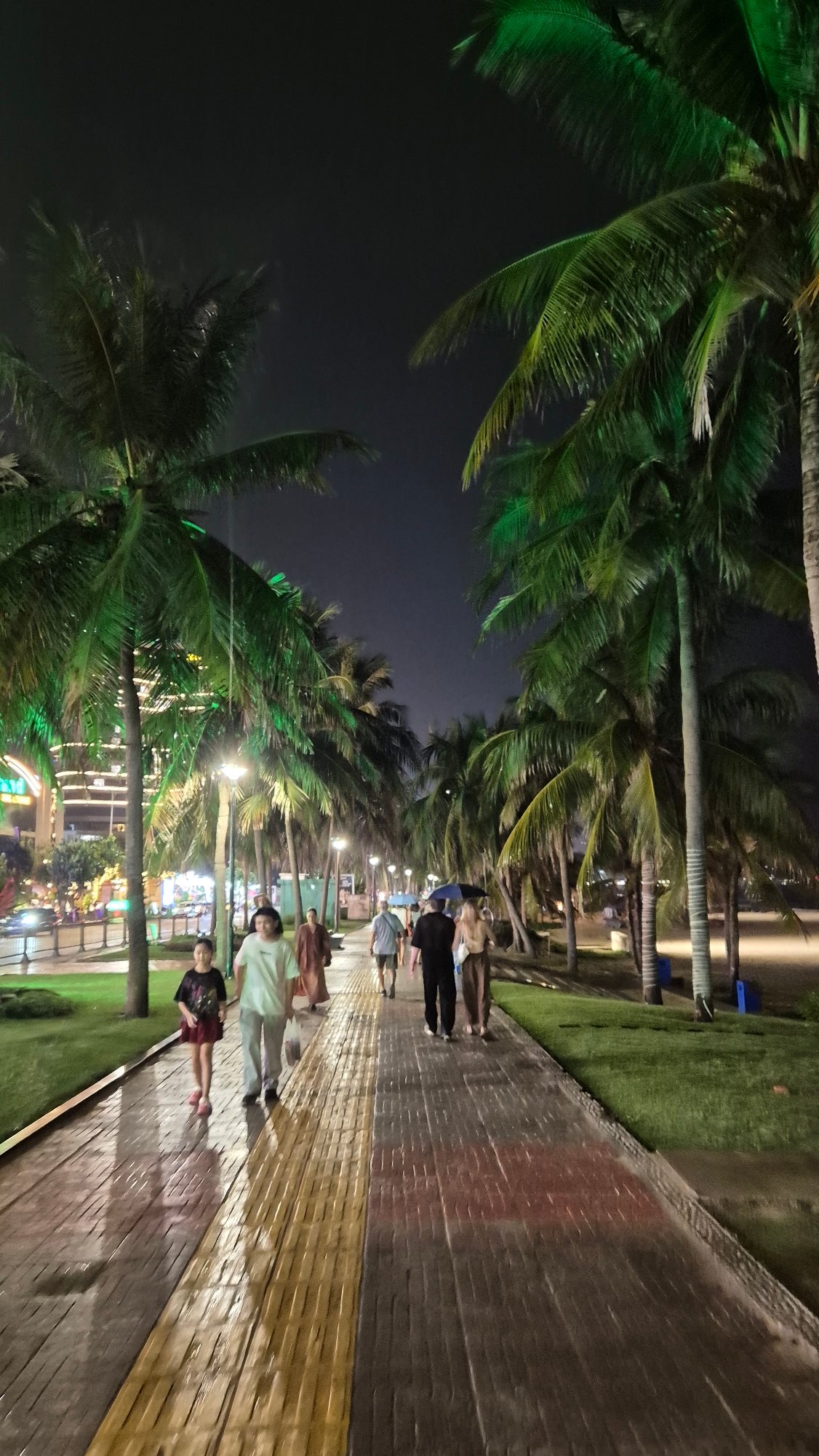 Rainy night stroll along Đà Nẵng's palm-lit waterfront promenade