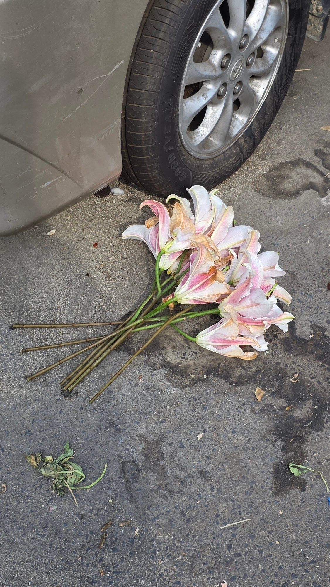 Morning street life captured across Nha Trang Ward