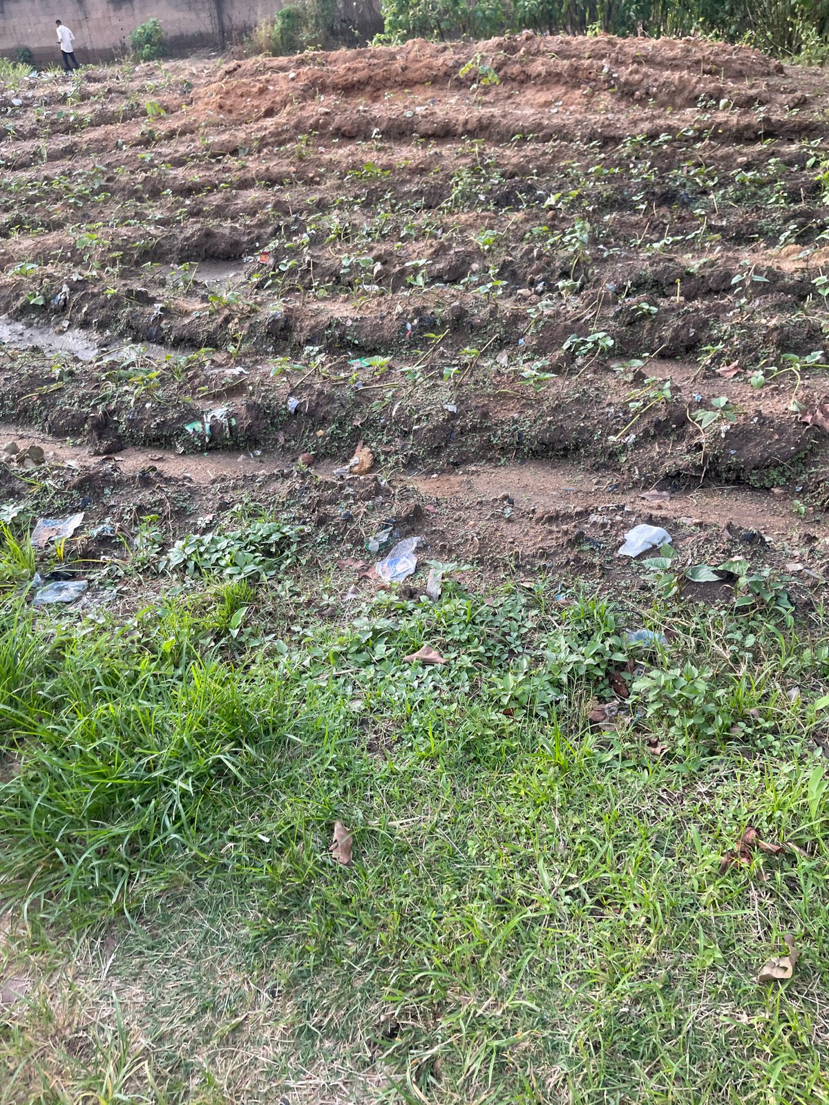 Community life and infrastructure in Rafin Par, Nigeria