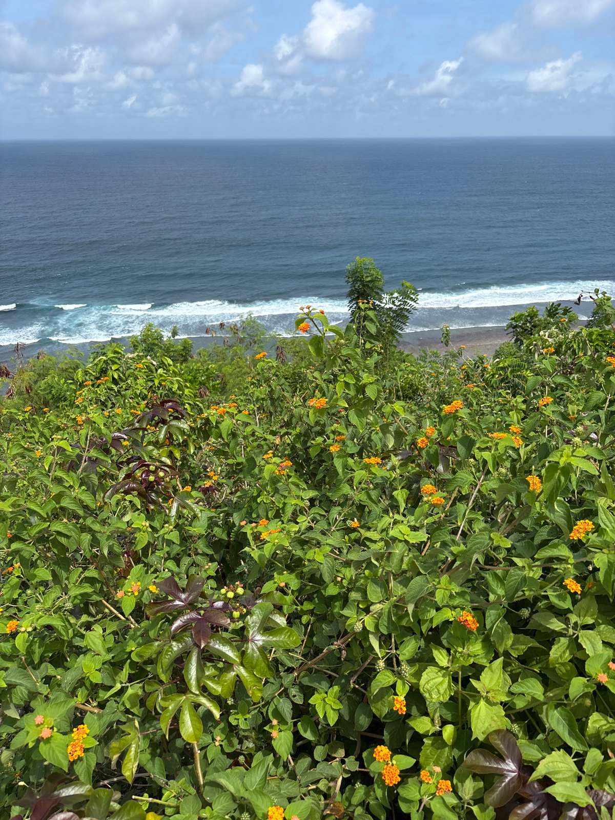 Tourist documents cliffside ocean views in Kuta Selatan Indonesia