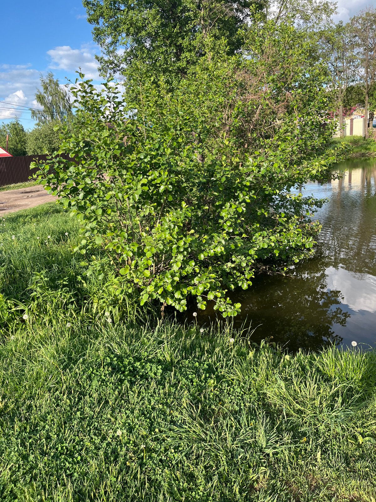 Everyday moments captured around Chaikovsky's waterways and neighborhoods