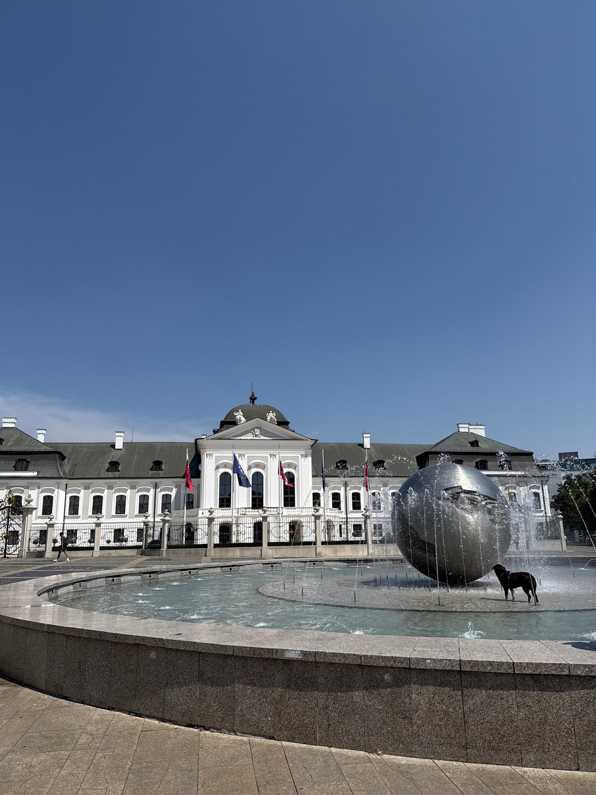 Dog plays in fountain outside Bratislava's Presidential Palace