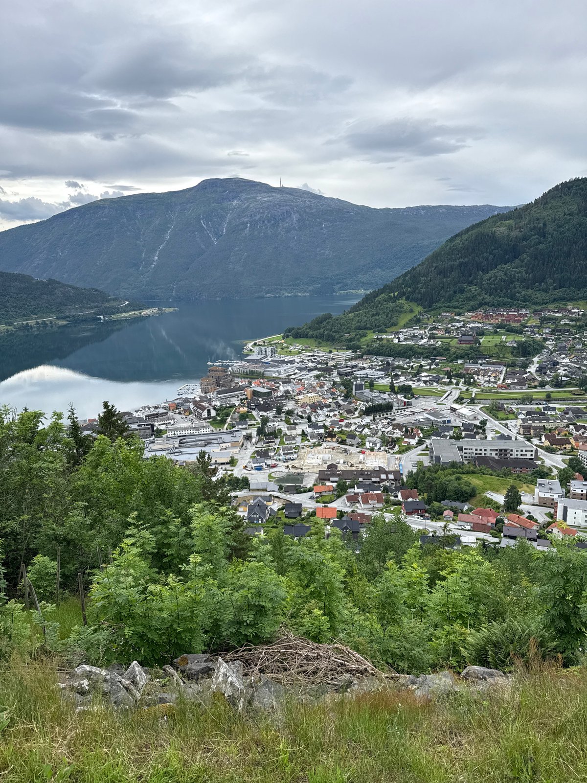 Coastal town nestled between water and forested mountains on a cloudy day