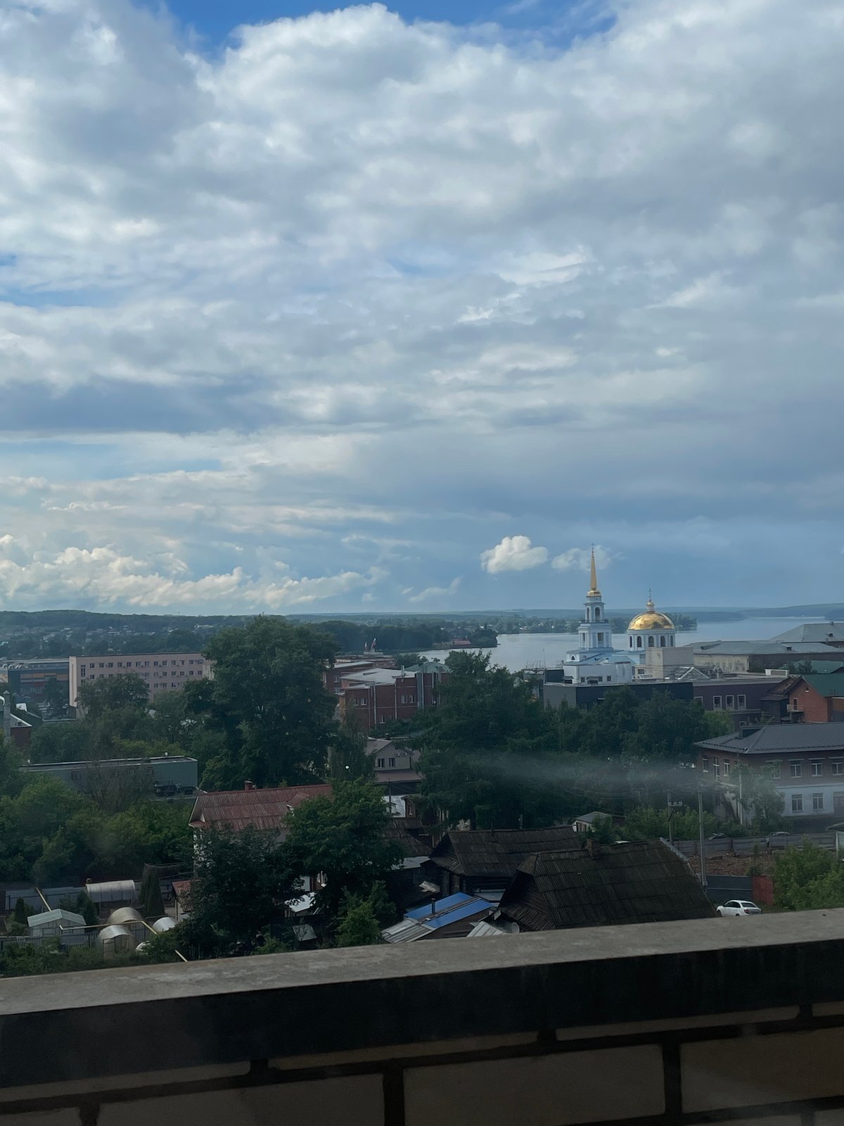 Quiet domestic moments with pets and flowers in Votkinsk