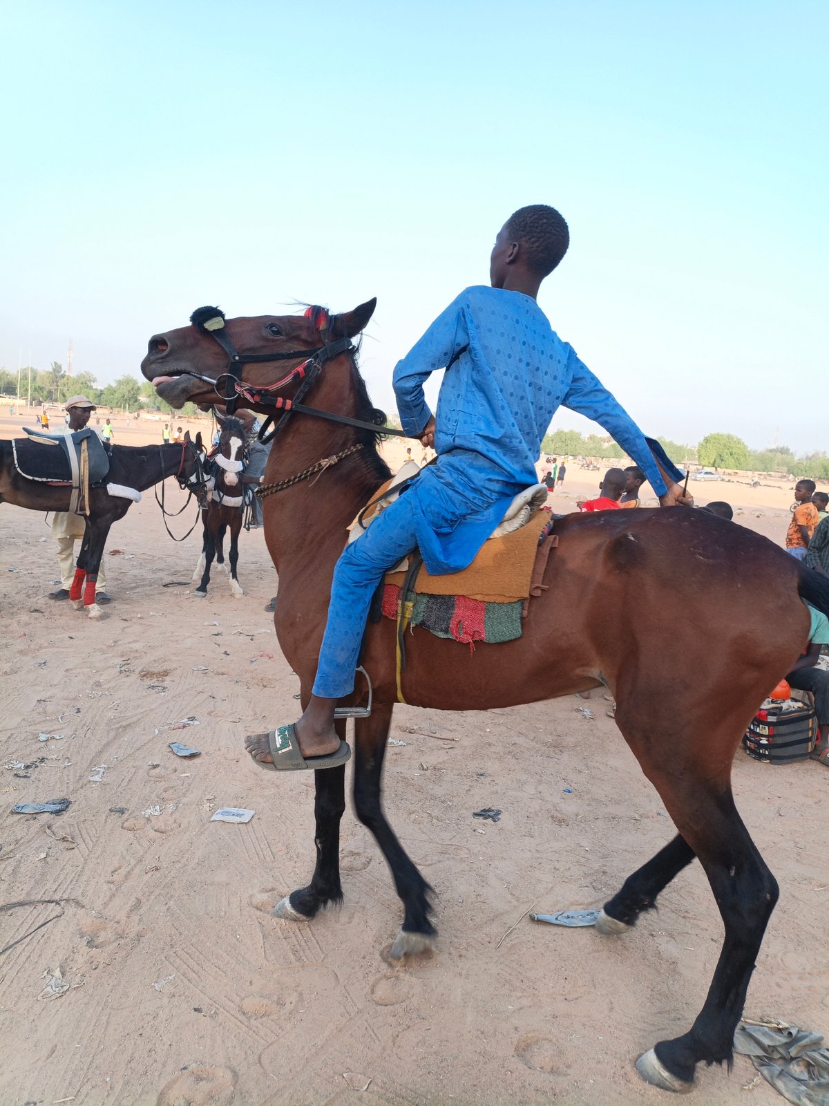 Horseback riding gathering observed in Giginyu, Nigeria
