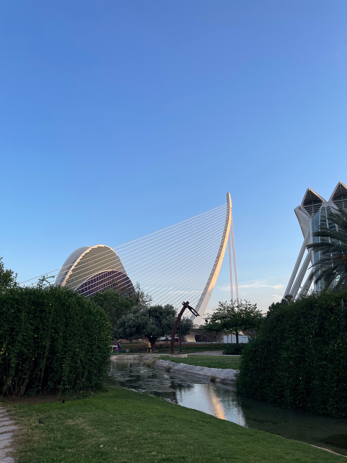 Evening views captured of Valencia's City of Arts Sciences complex