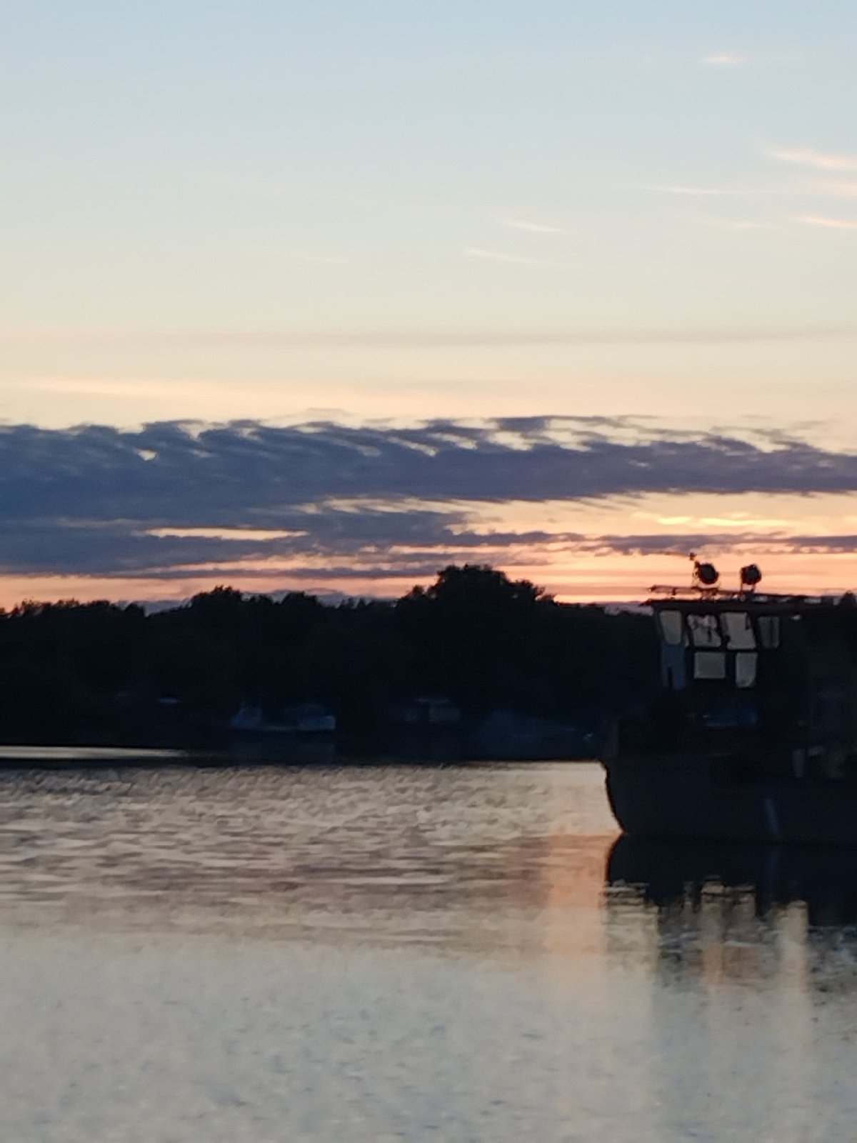 Labrador rests by the Dnieper at golden hour in Kyiv