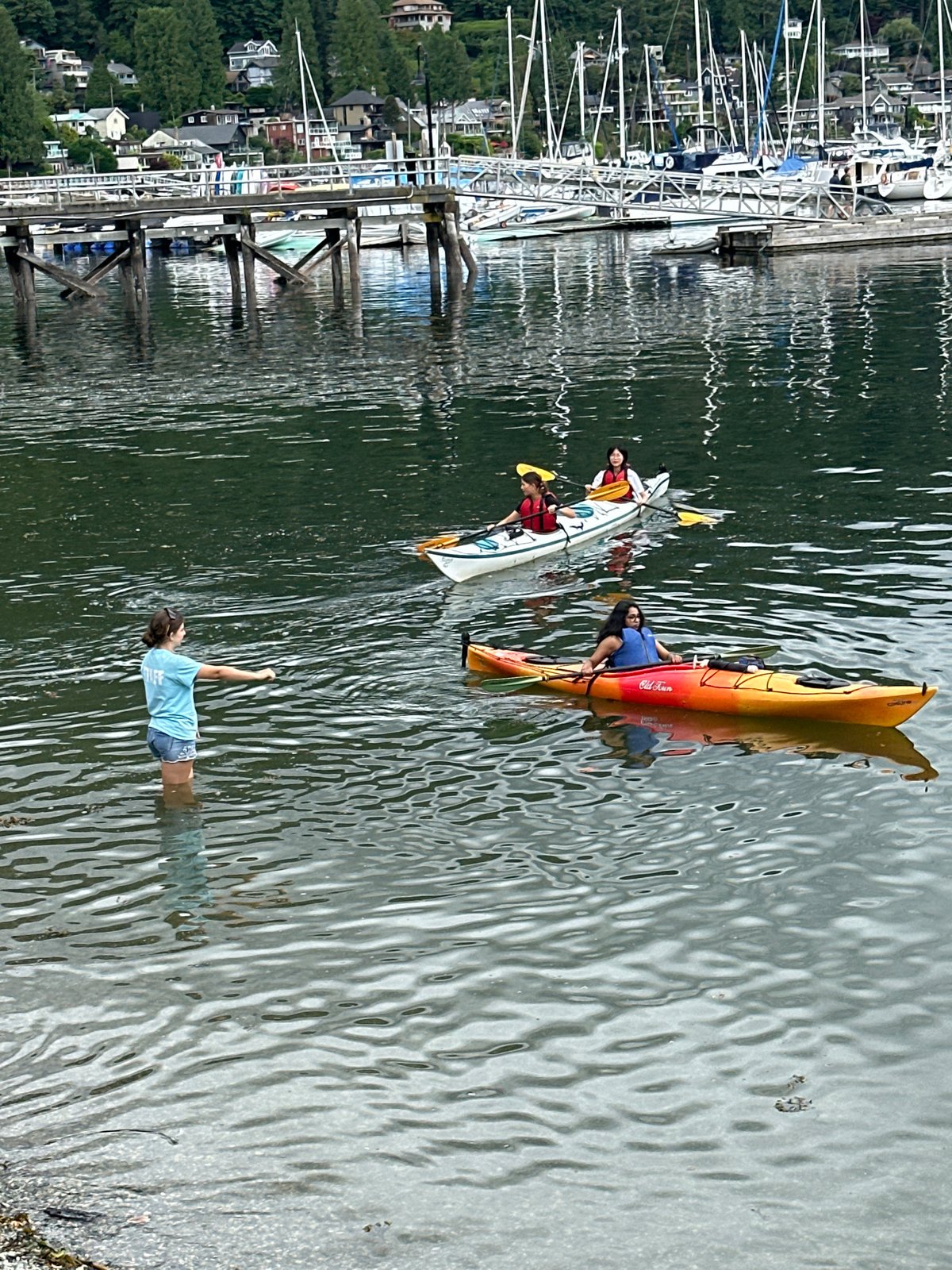 Waterfront life in North Vancouver: kayaks, sailboats, crows, and a swimming dog
