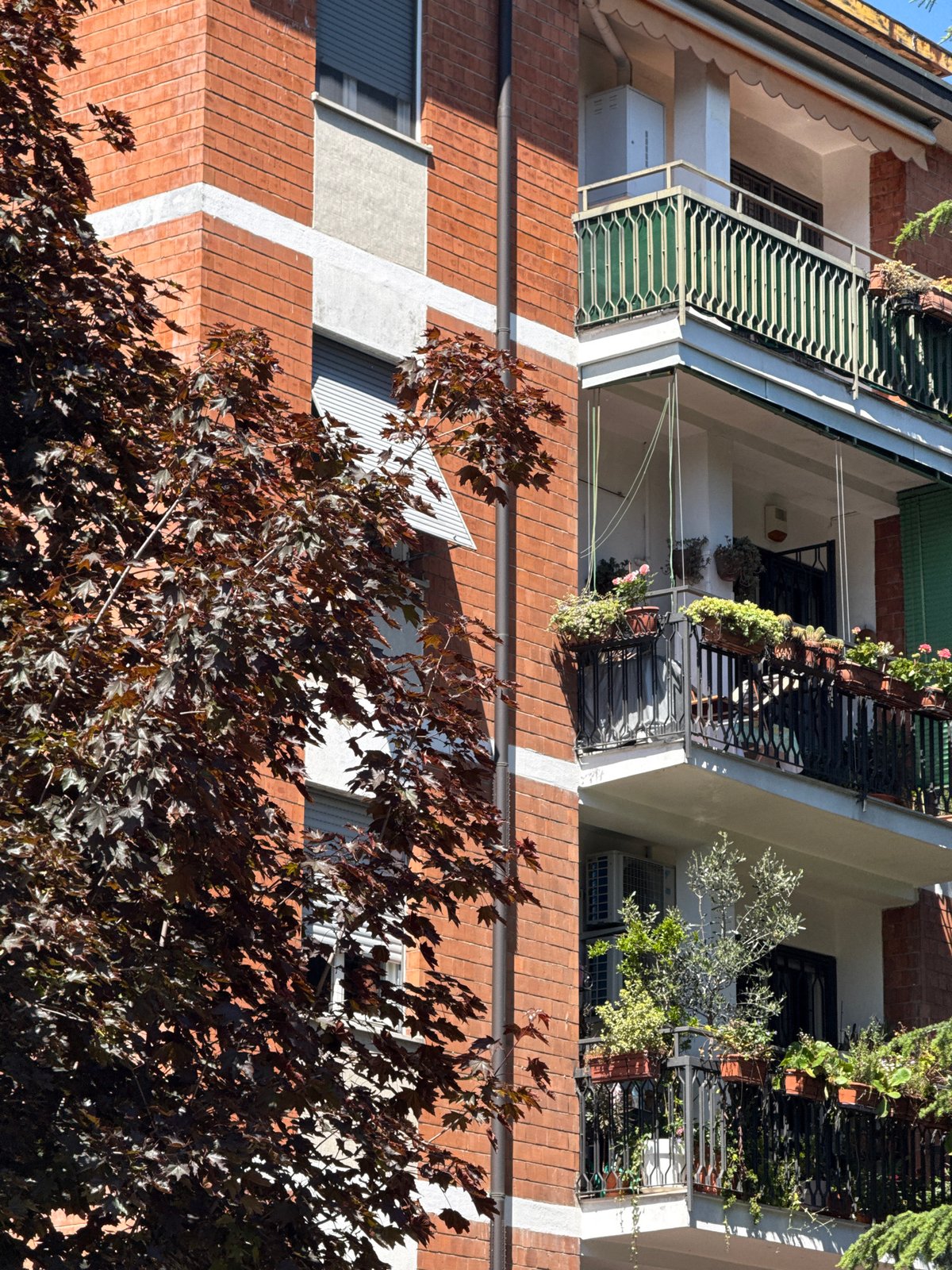 Quiet afternoon moments captured across Milan neighborhoods
