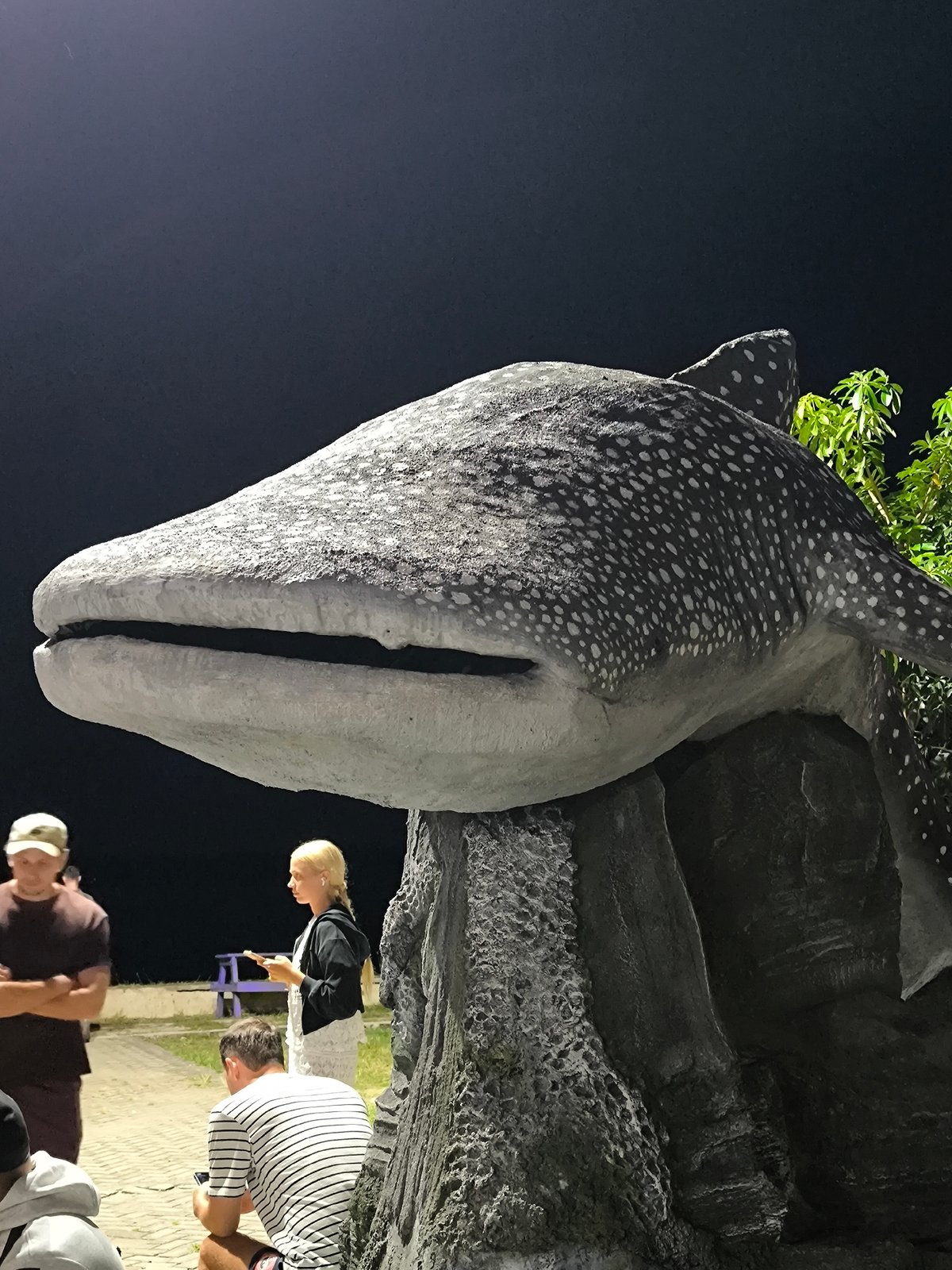 Whale shark statue draws visitors in Labuan Jambu