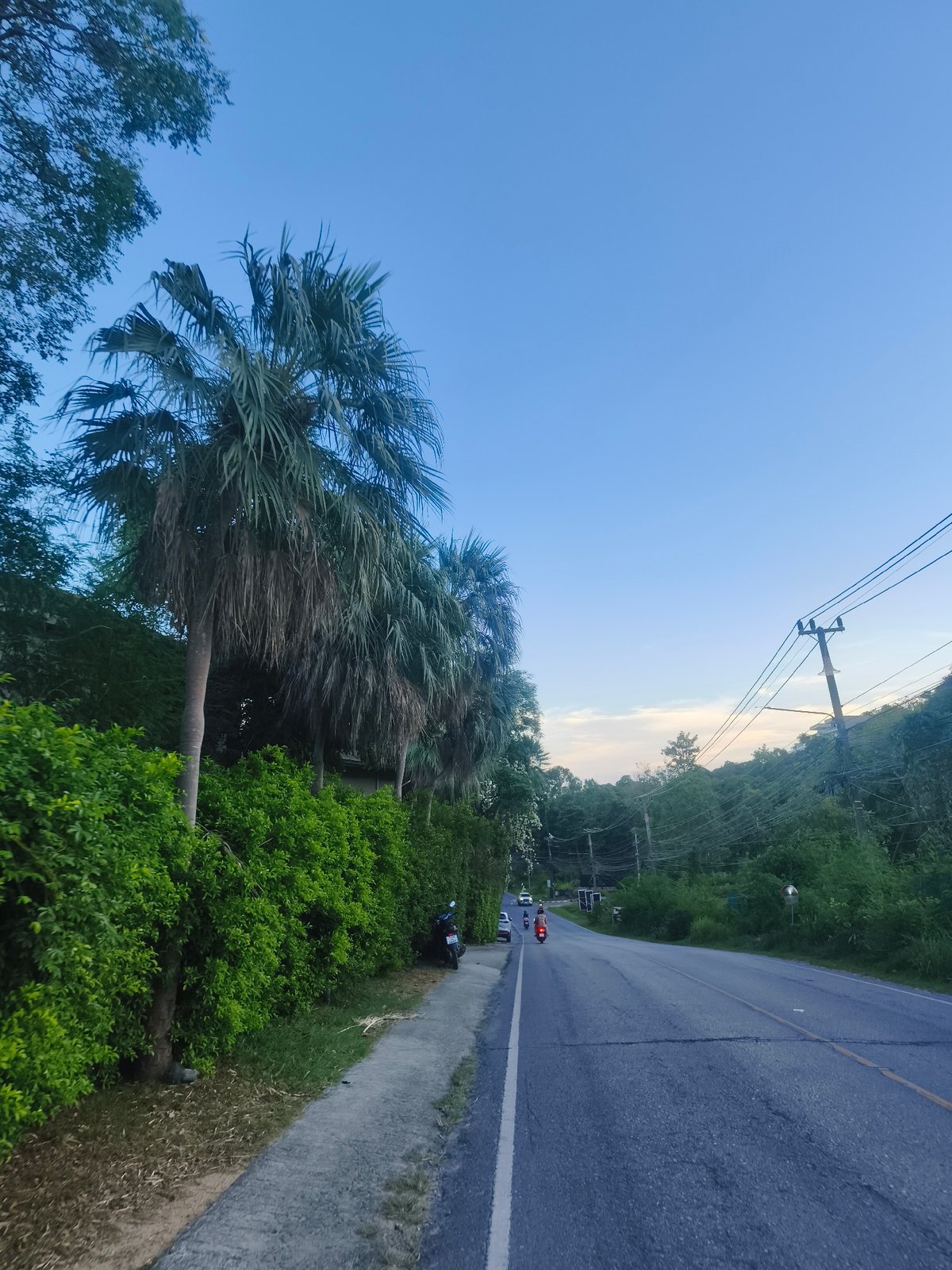 Clear skies over tree-lined road in Choeng Mon, Thailand